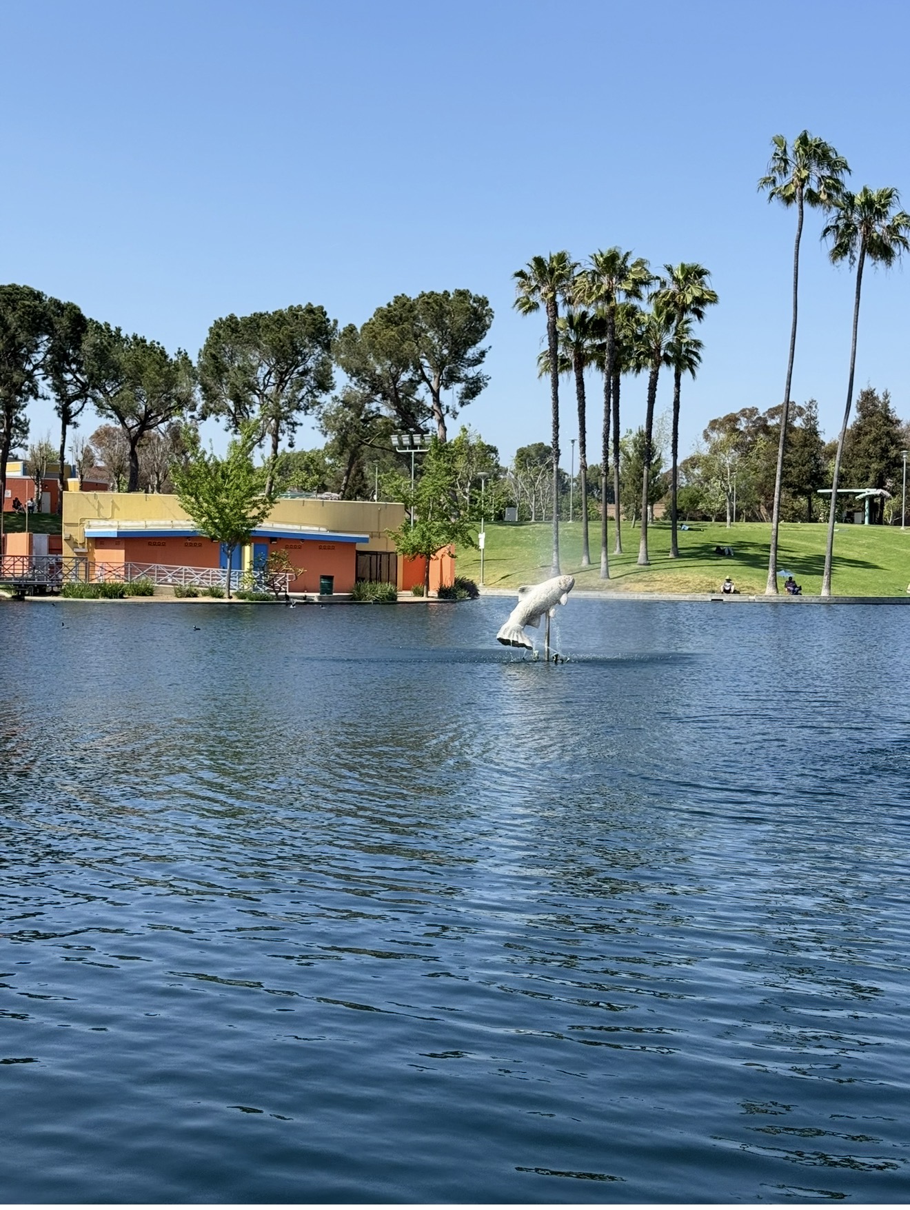 Belvedere Park Water Feature Installation — After