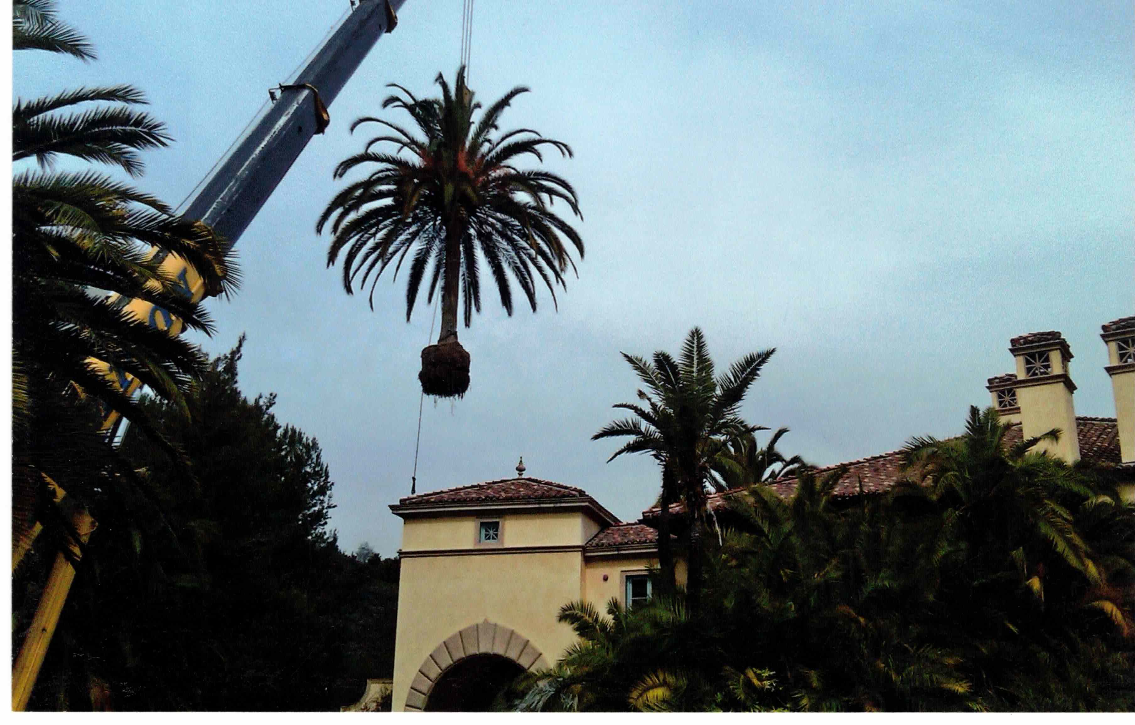 Beverly Hills Estate