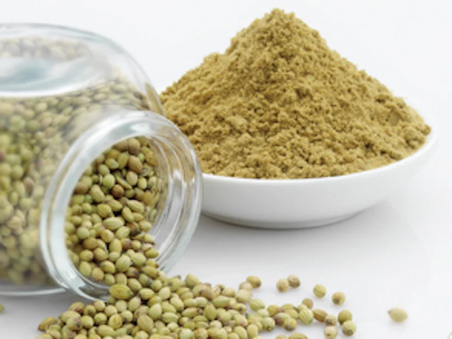 Coriander - Export Quality Indian Spice
