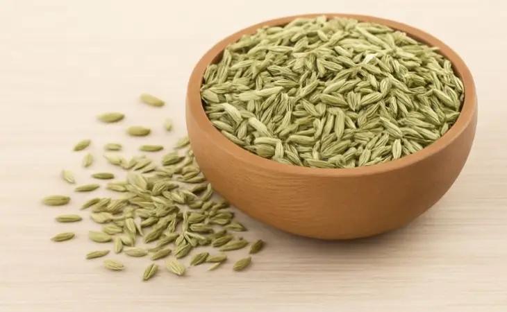 Fennel Seeds - Export Quality Indian Spice