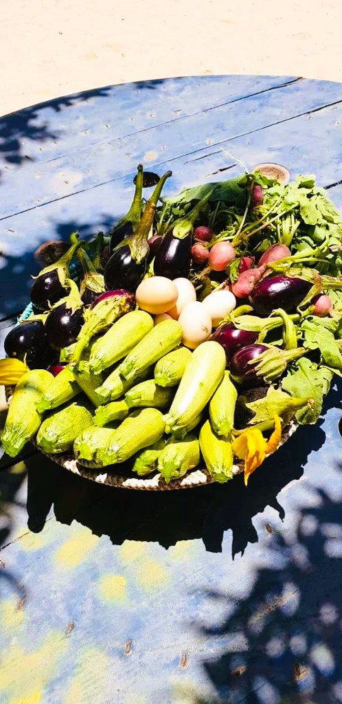 Dar Tawarta, écolodge à Dakhla — table marocaine généreuse, cuisine locale de la maison d'hôtes