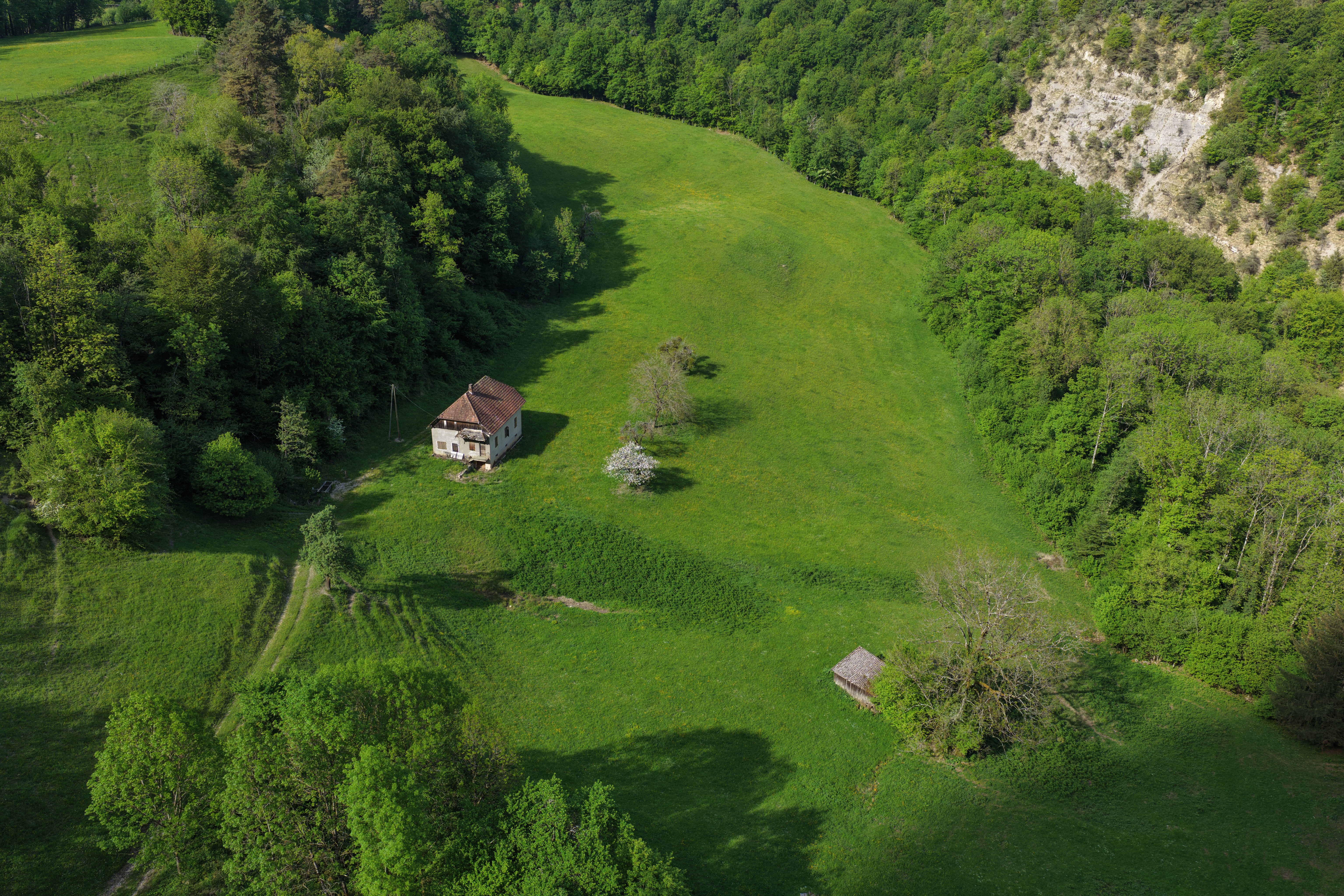 Entre Forêt et Lumière