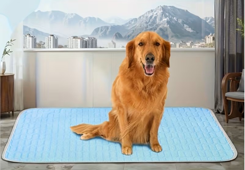 CoolPaws Pet Cooling Mat with happy dog resting
