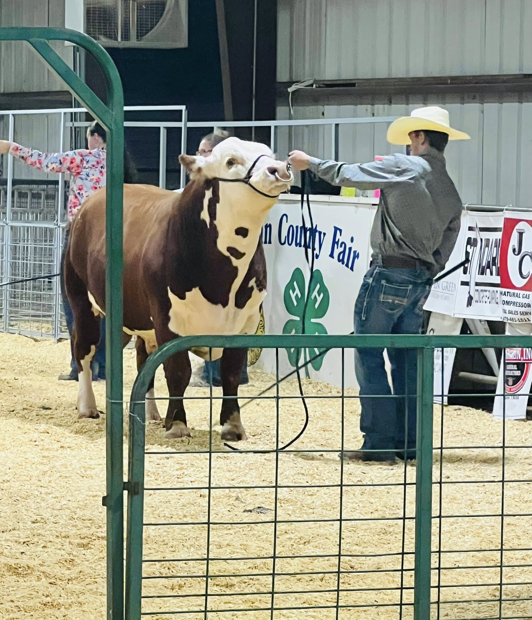 Mason — Show Sterling Momentum