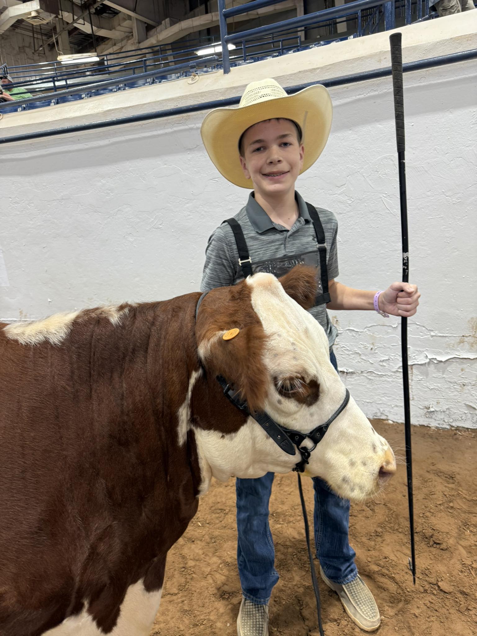 Maddox in the show ring