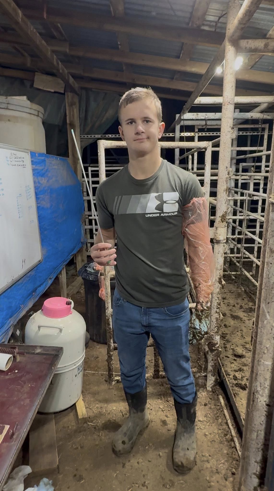 Mason — Breeding Cows