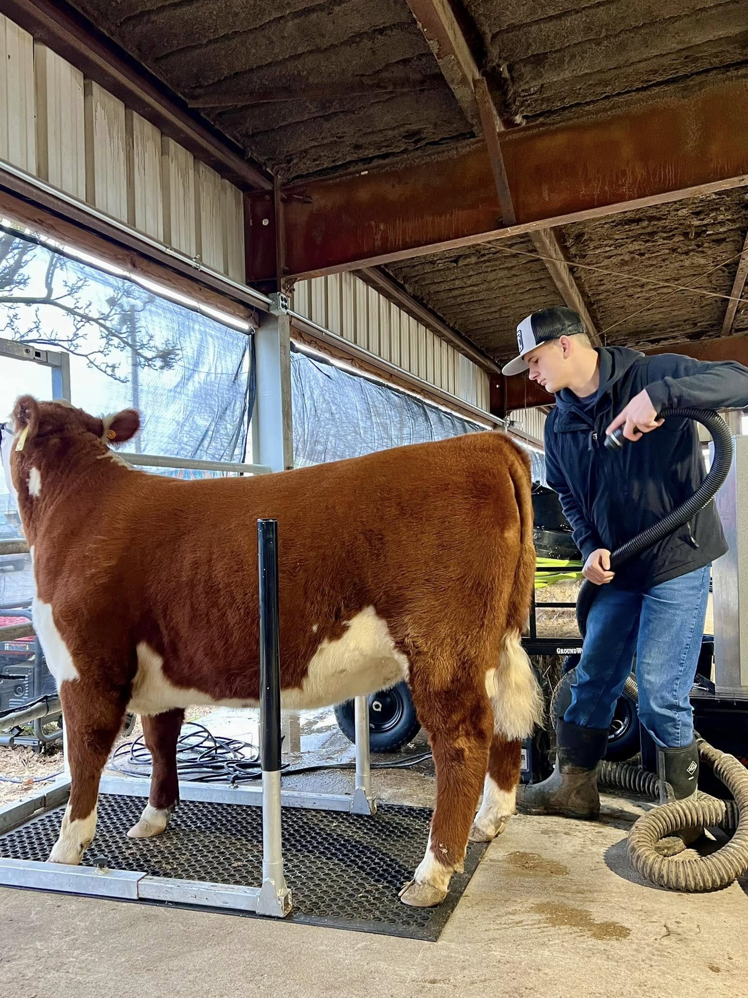 Mason — Drying off