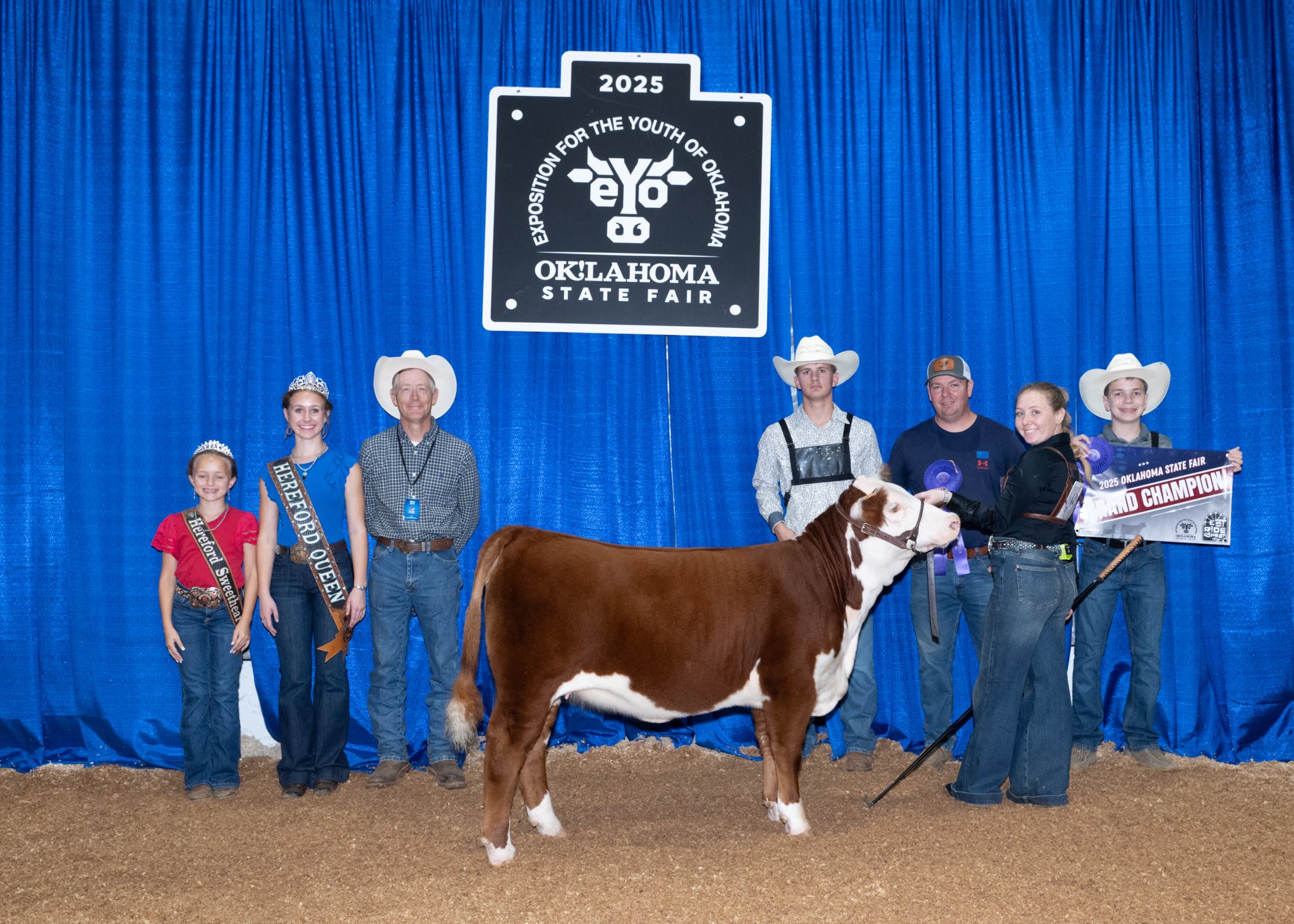 Maddox — 2025 Grand Champion Polled Hereford Female OKC Win