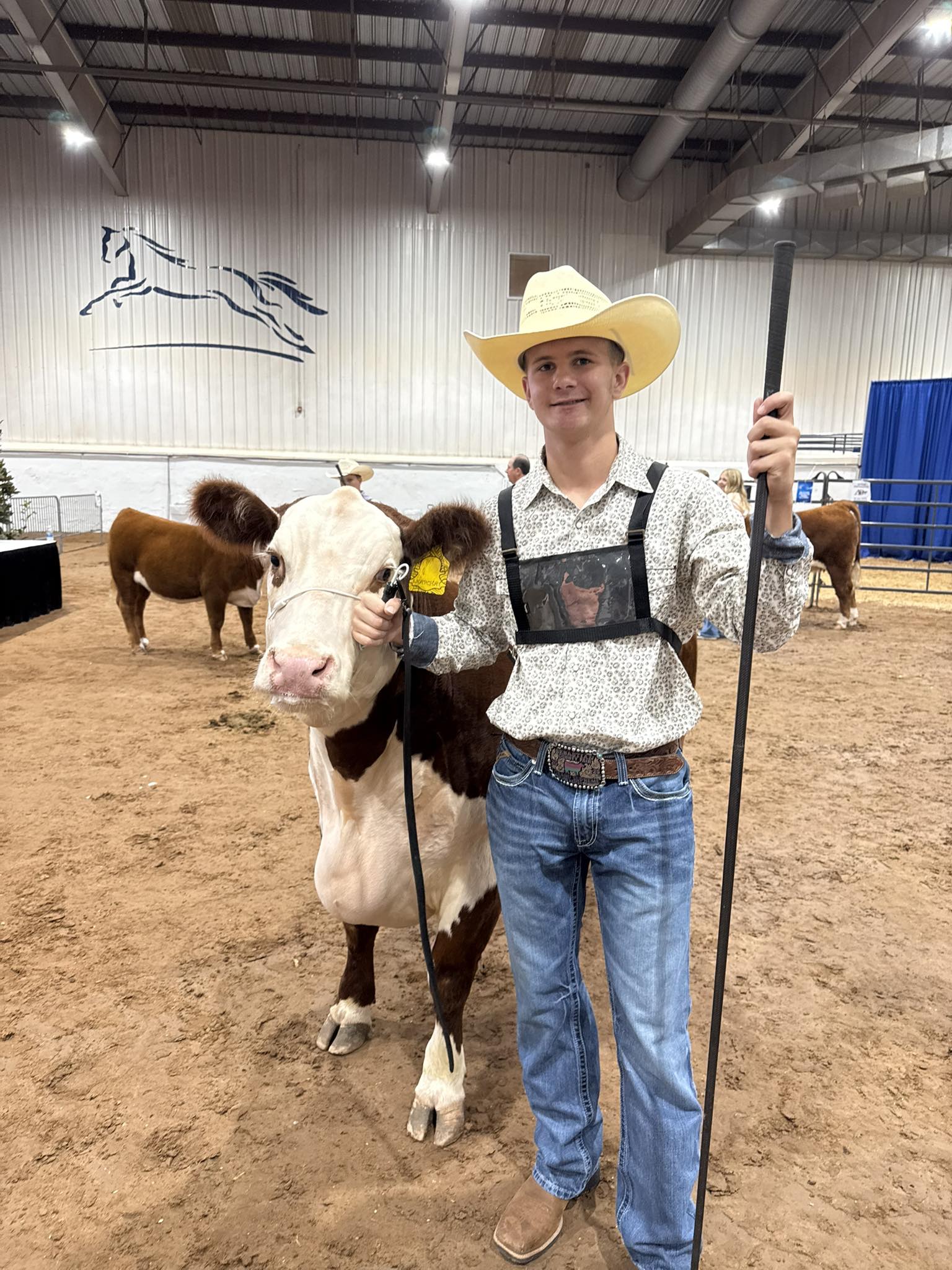 Mason in the show ring