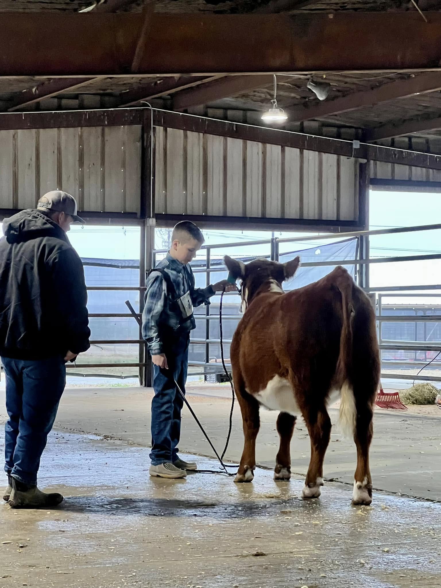 Maddox — Getting Ready to Show