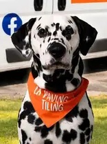 Chester the mascot