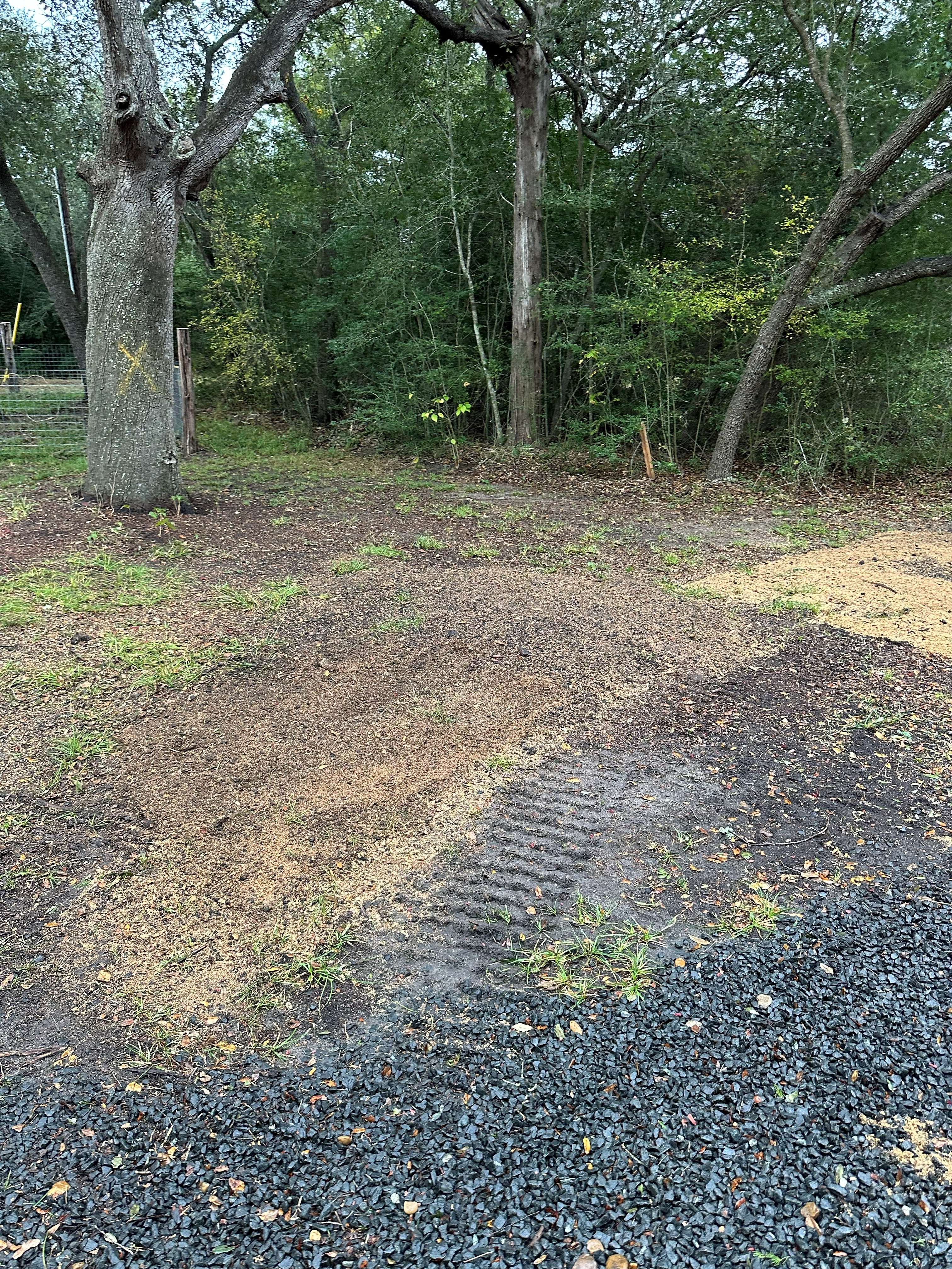 Stump Grinding photo 5