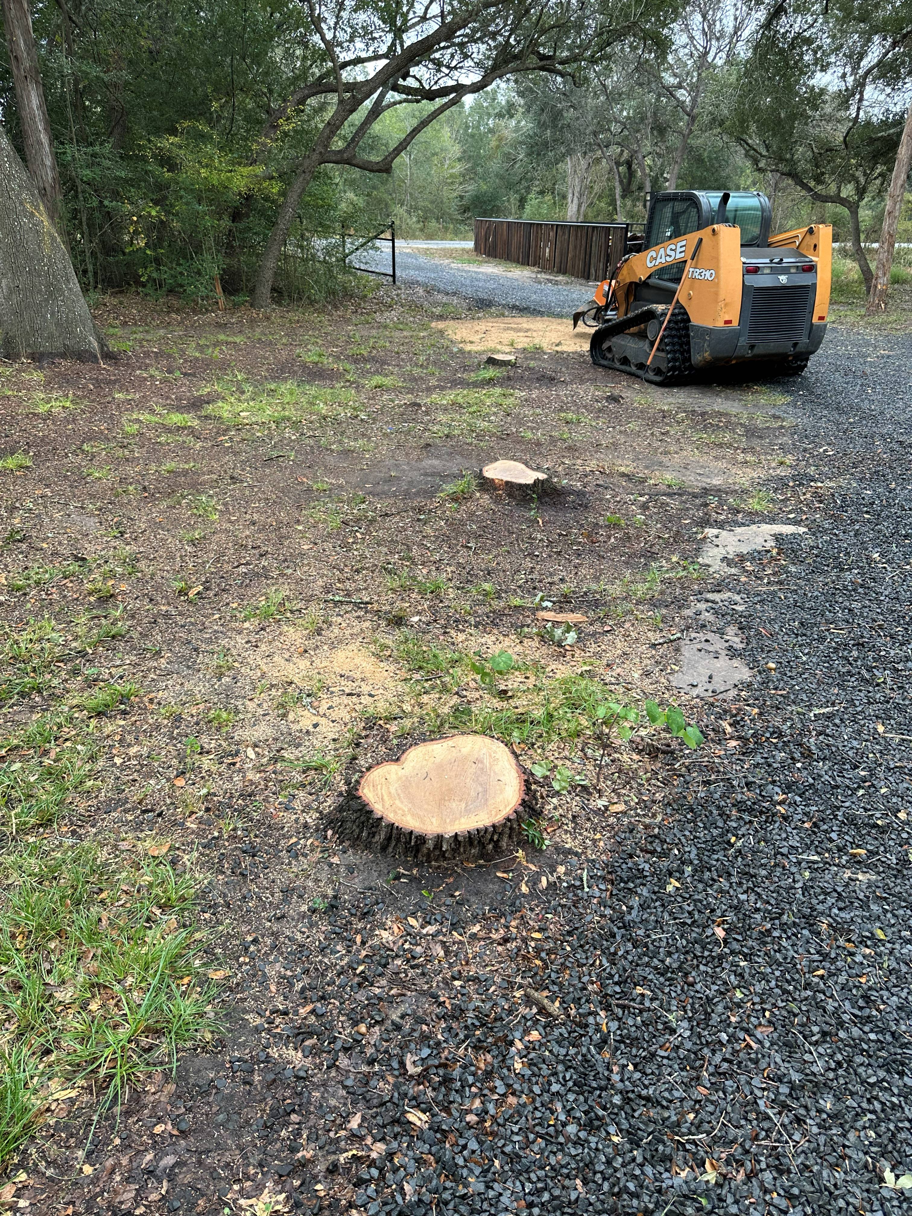 Stump Grinding photo 3
