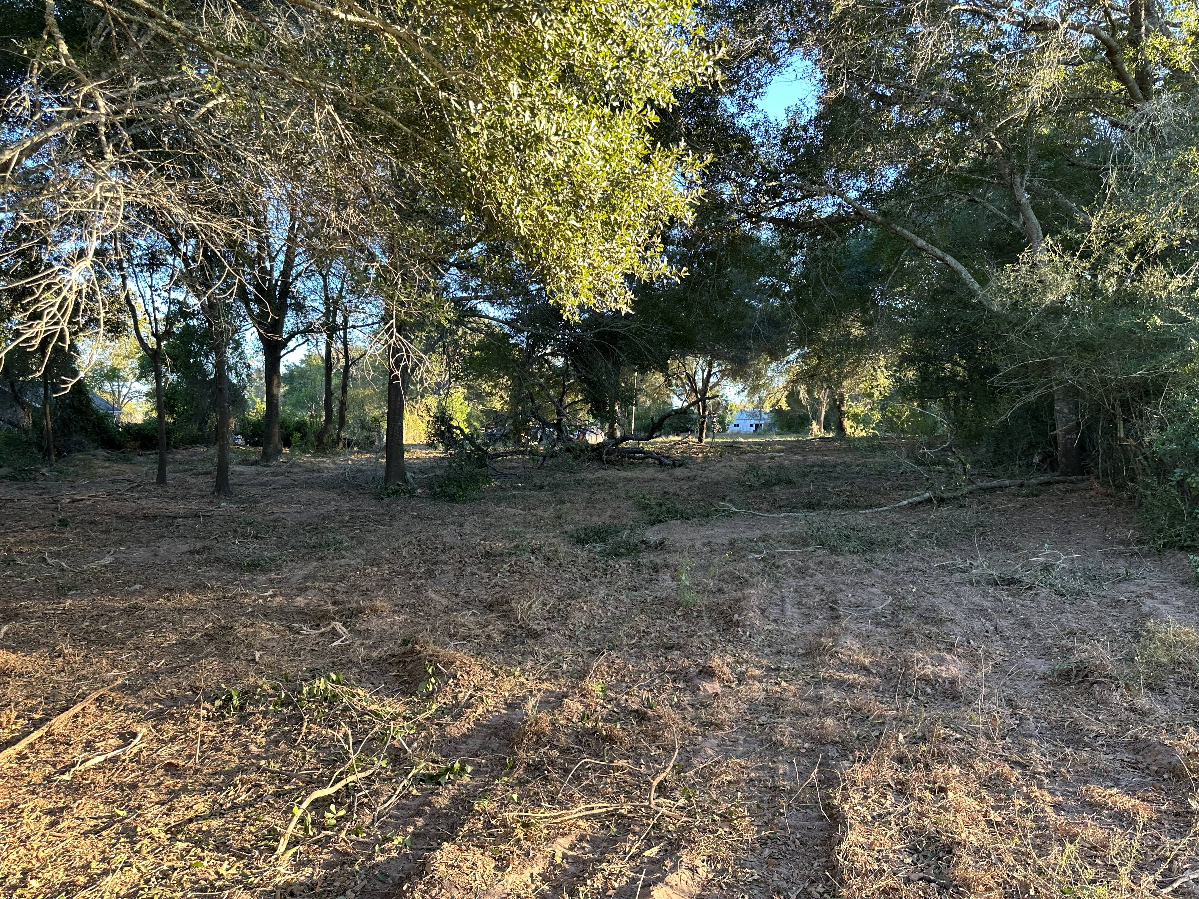1-Acre Lot Clearing photo 13
