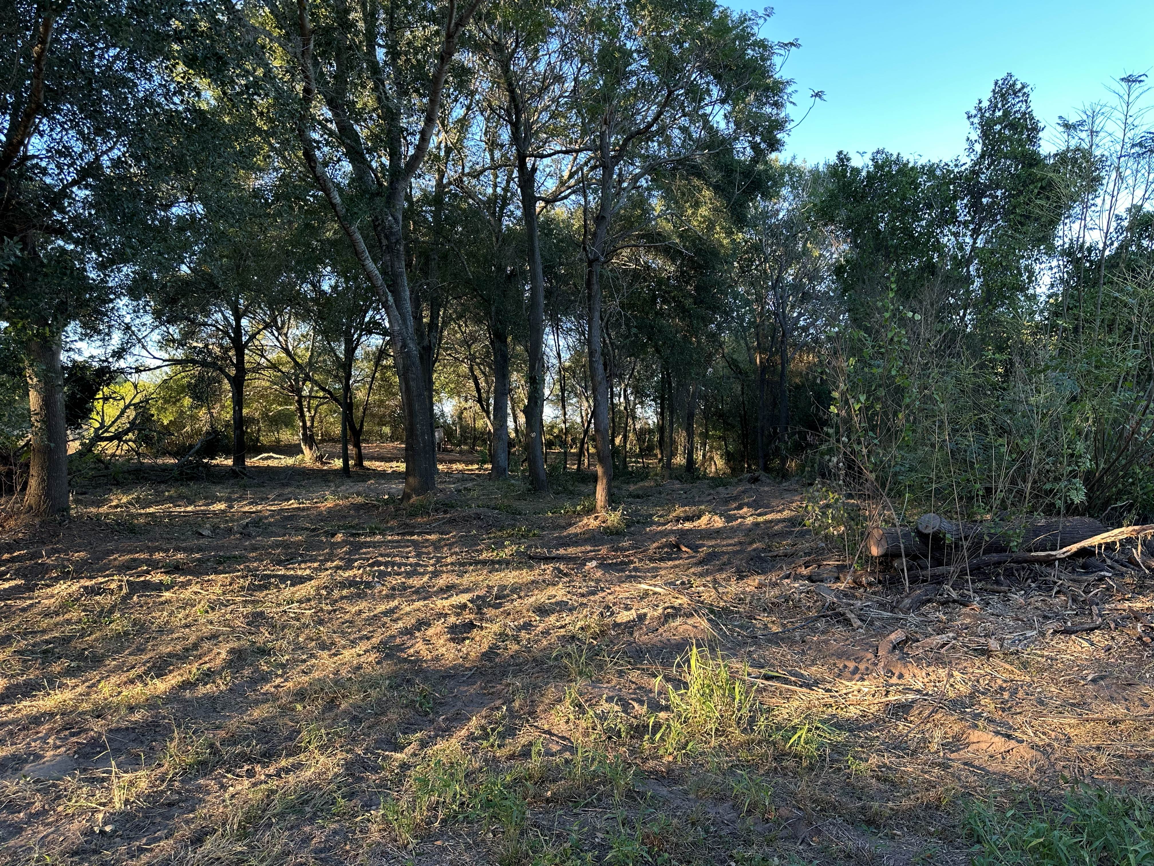 1-Acre Lot Clearing photo 9