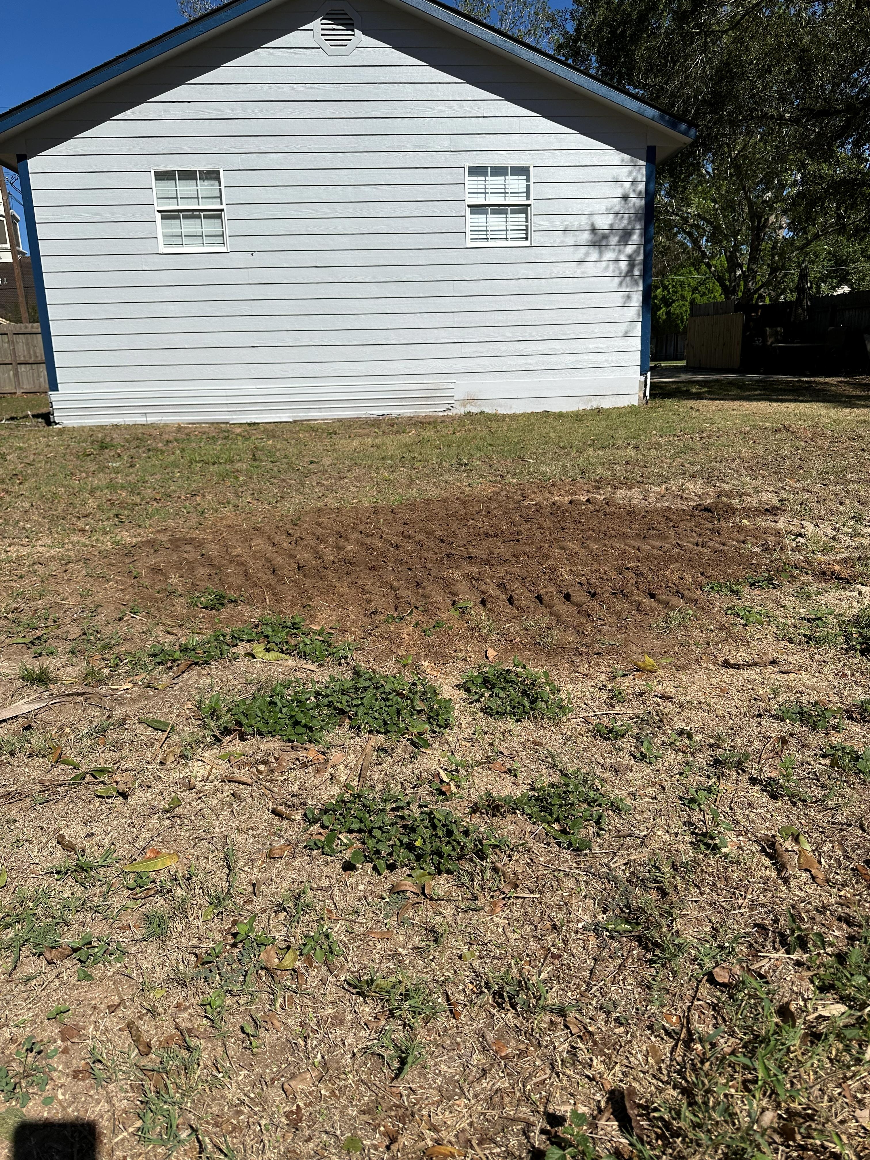 Stump Grinding photo 2