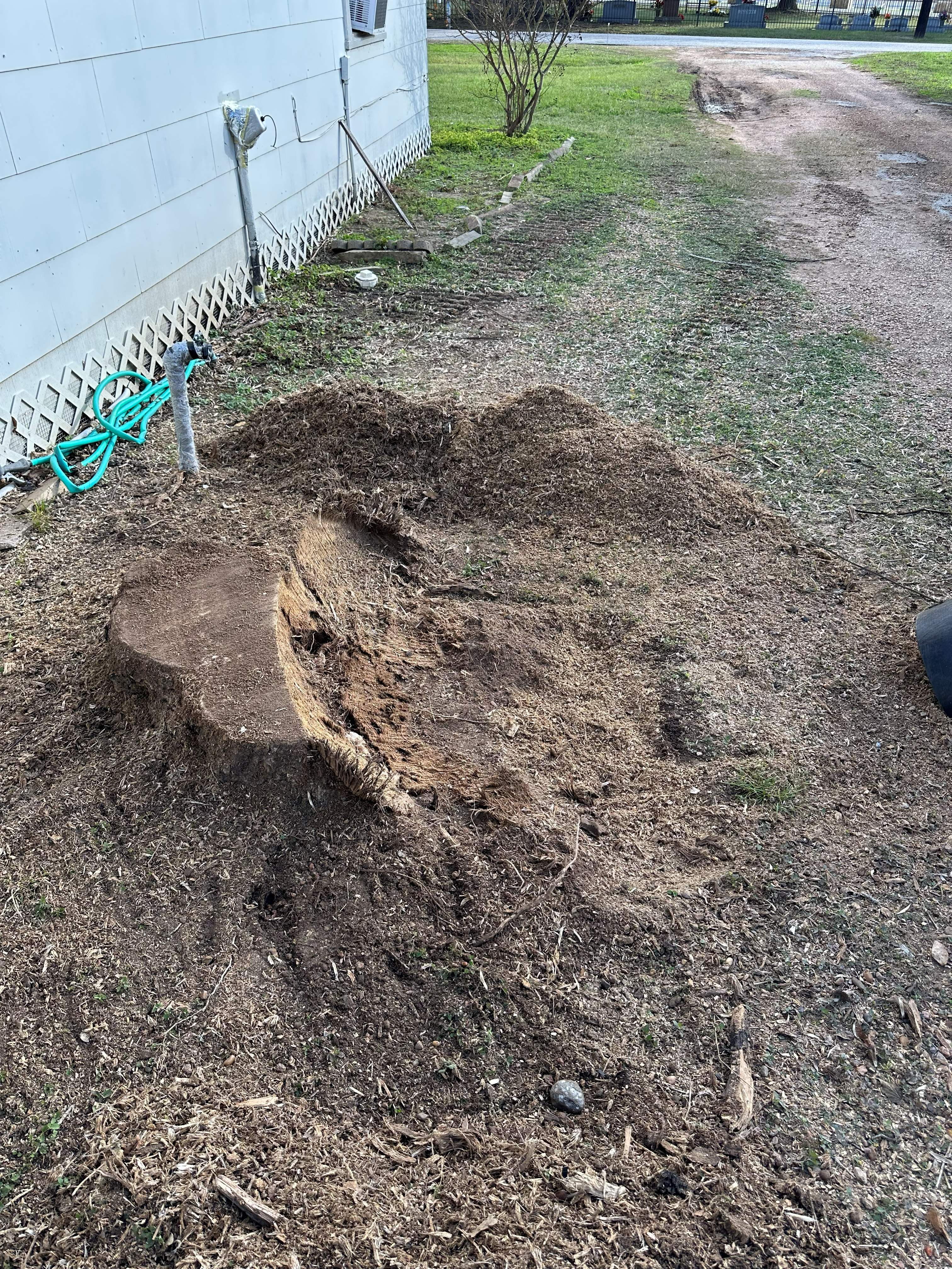 Stump Grinding photo 6