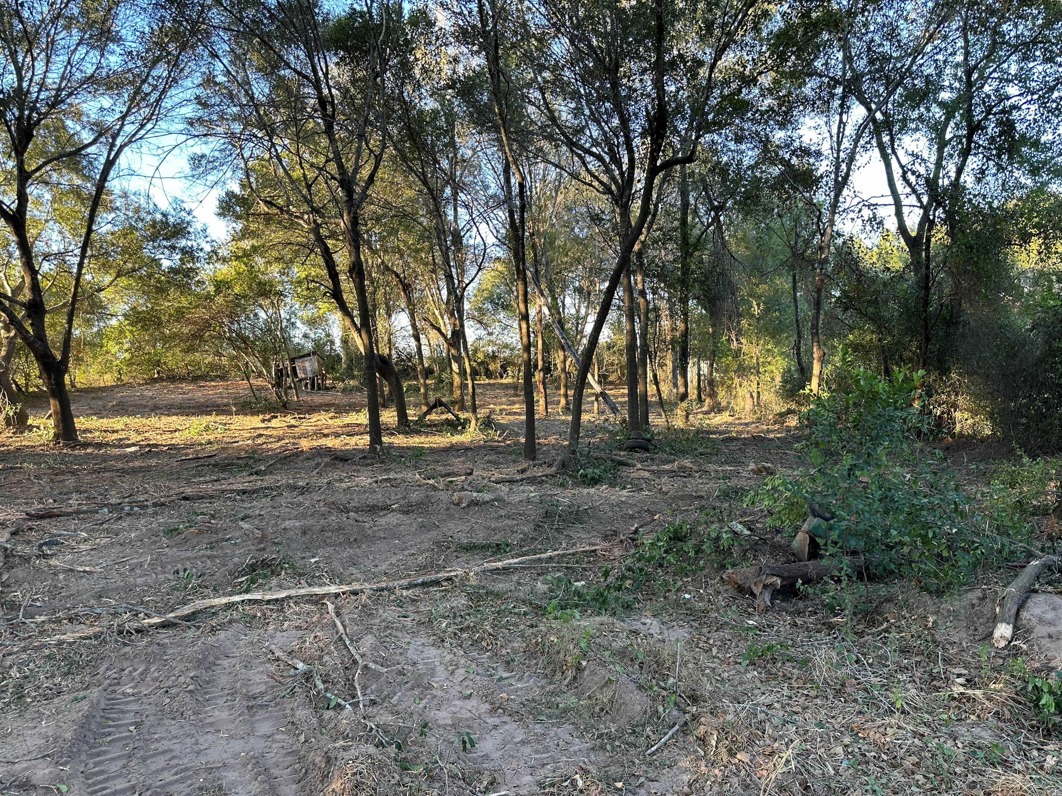 1-Acre Lot Clearing photo 10