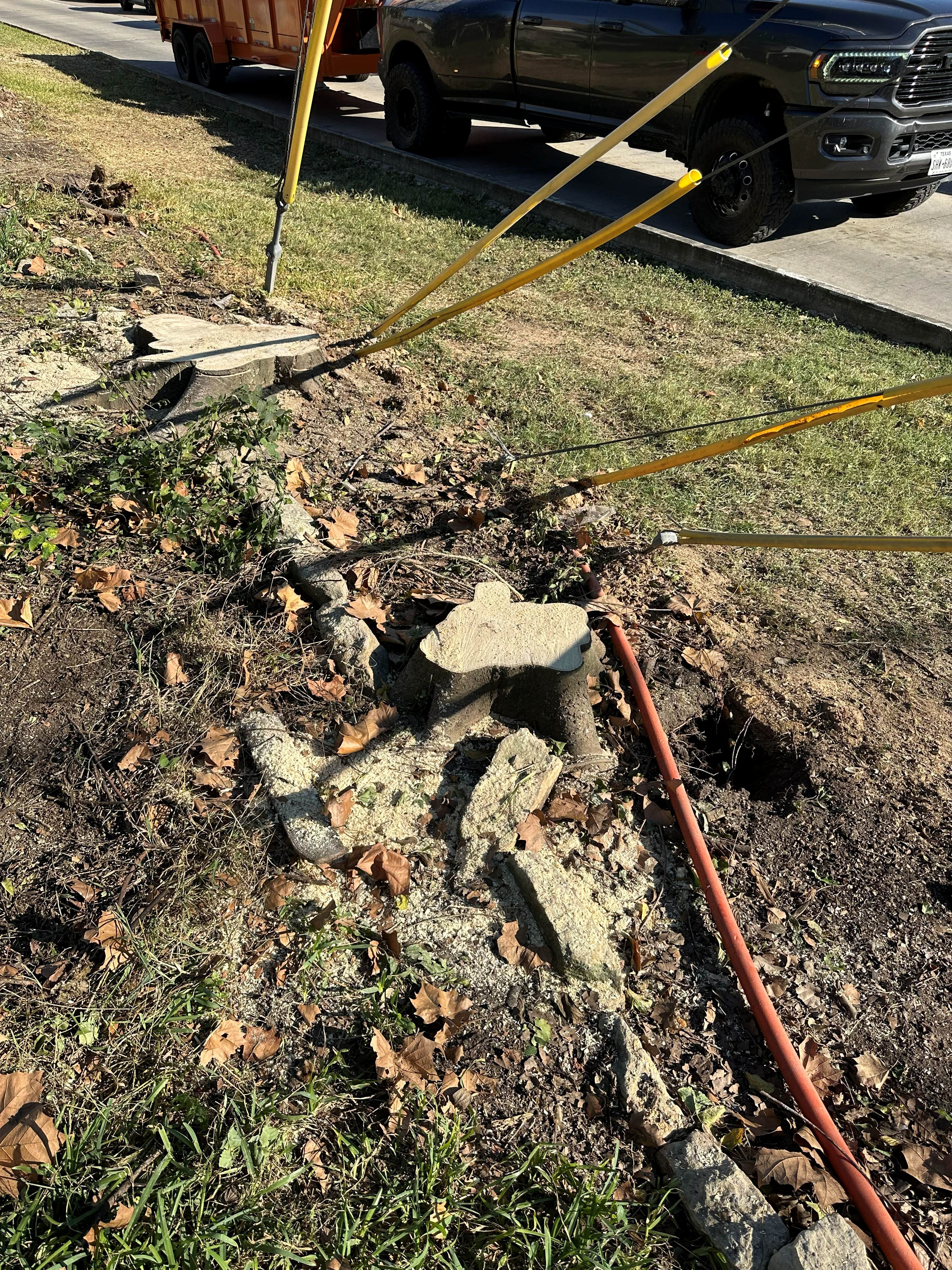 HOA Stump Grinding photo 2