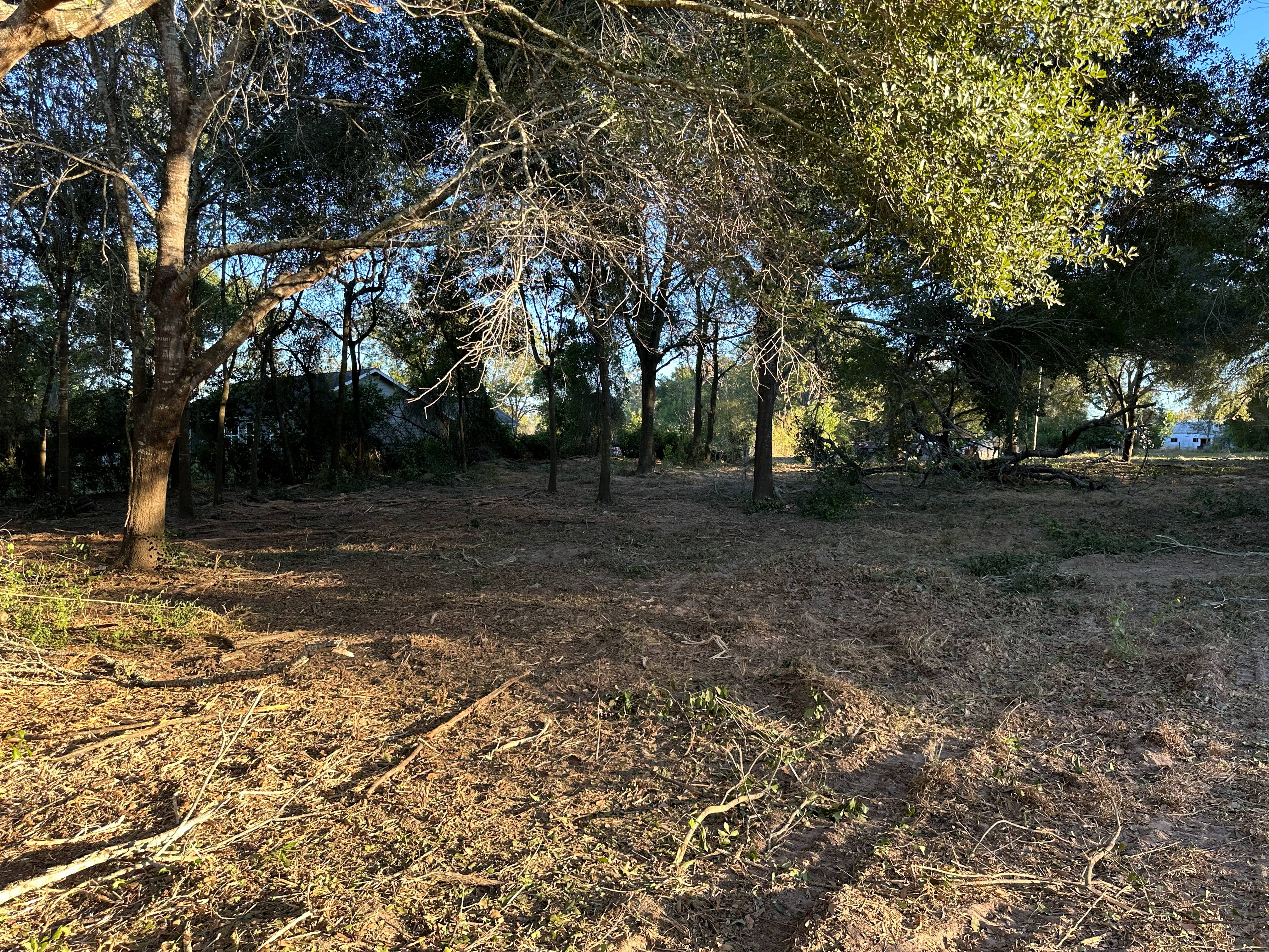 1-Acre Lot Clearing photo 12
