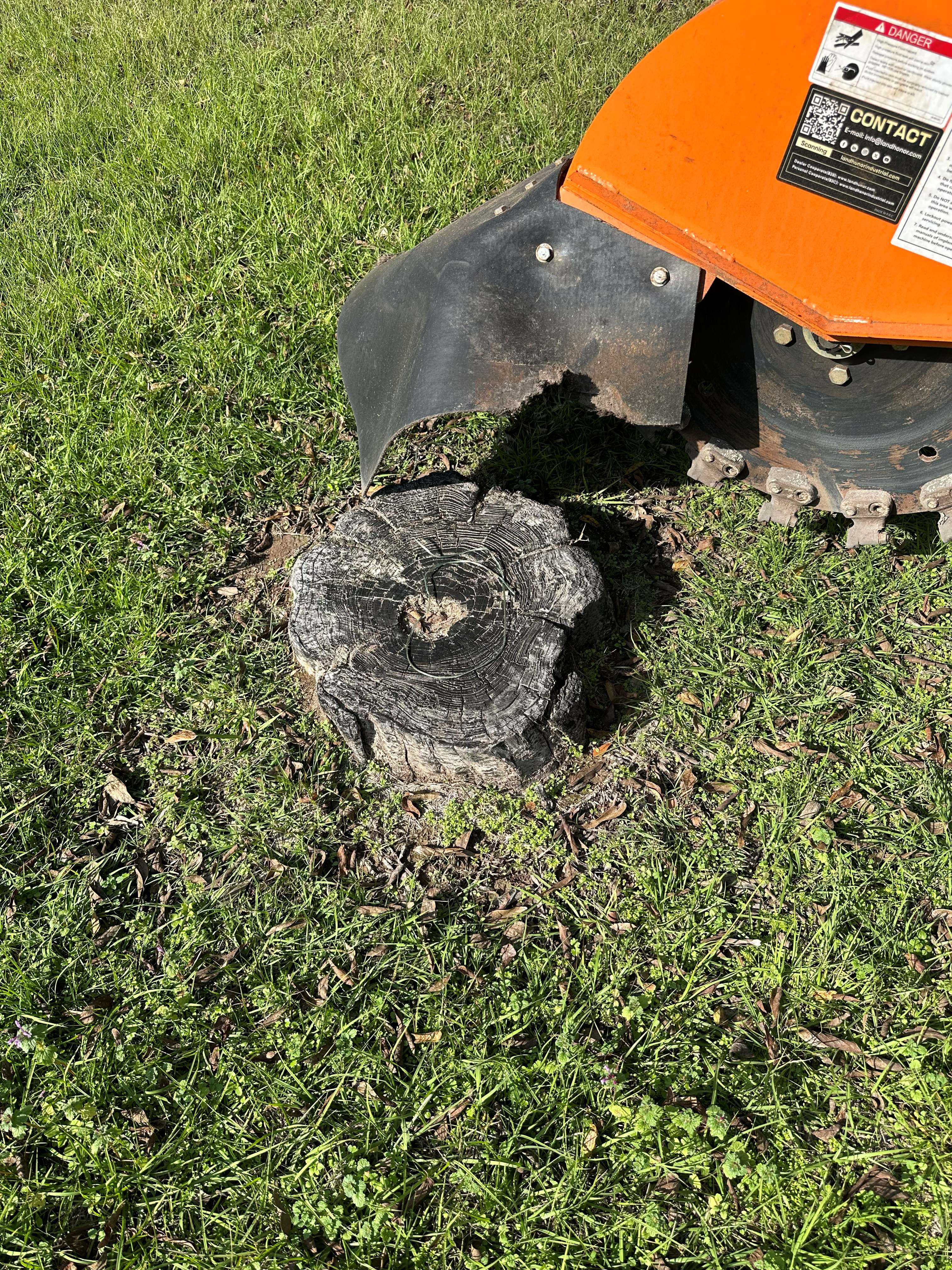 Stump Grinding photo 5