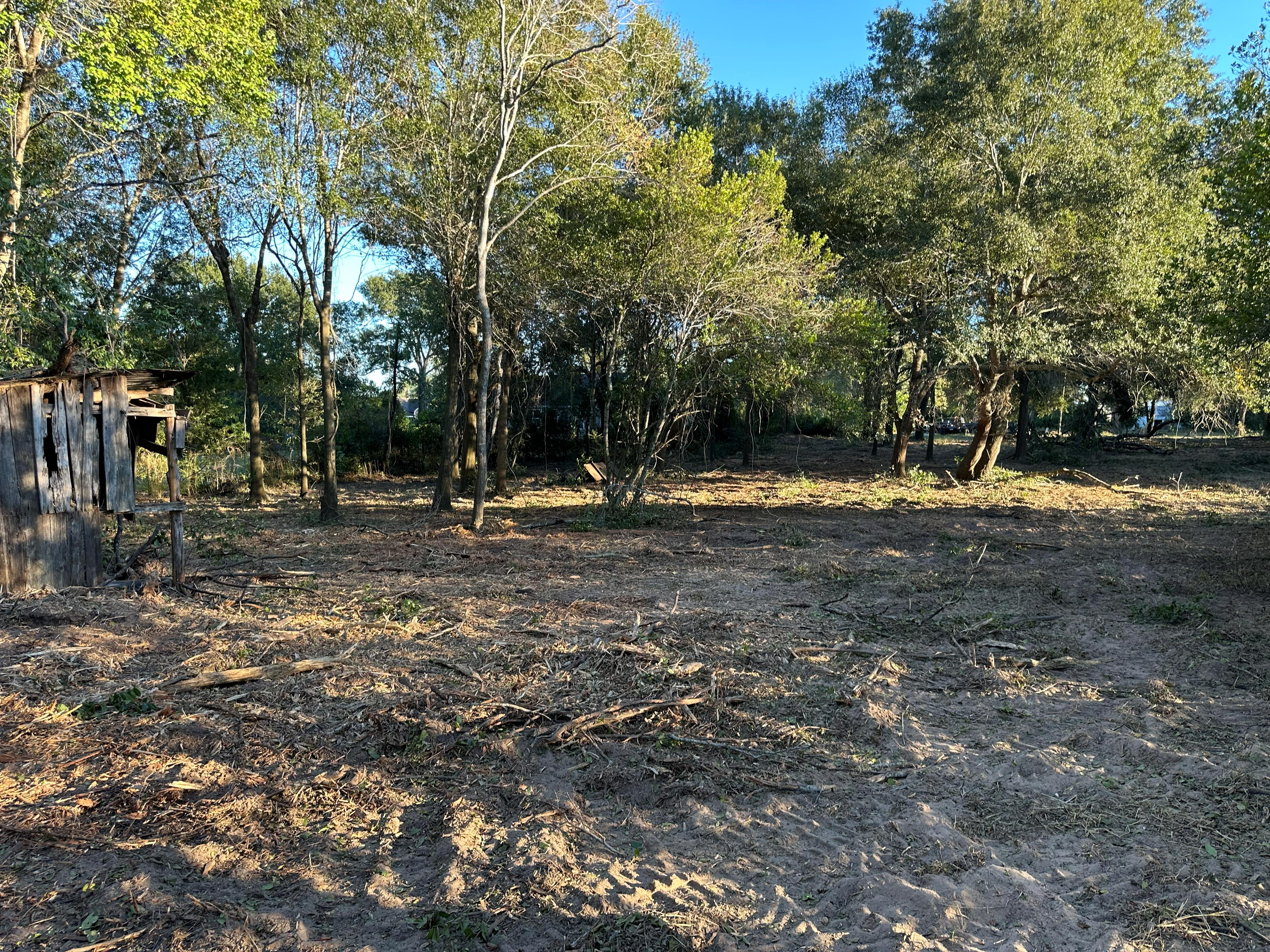 1-Acre Lot Clearing photo 14
