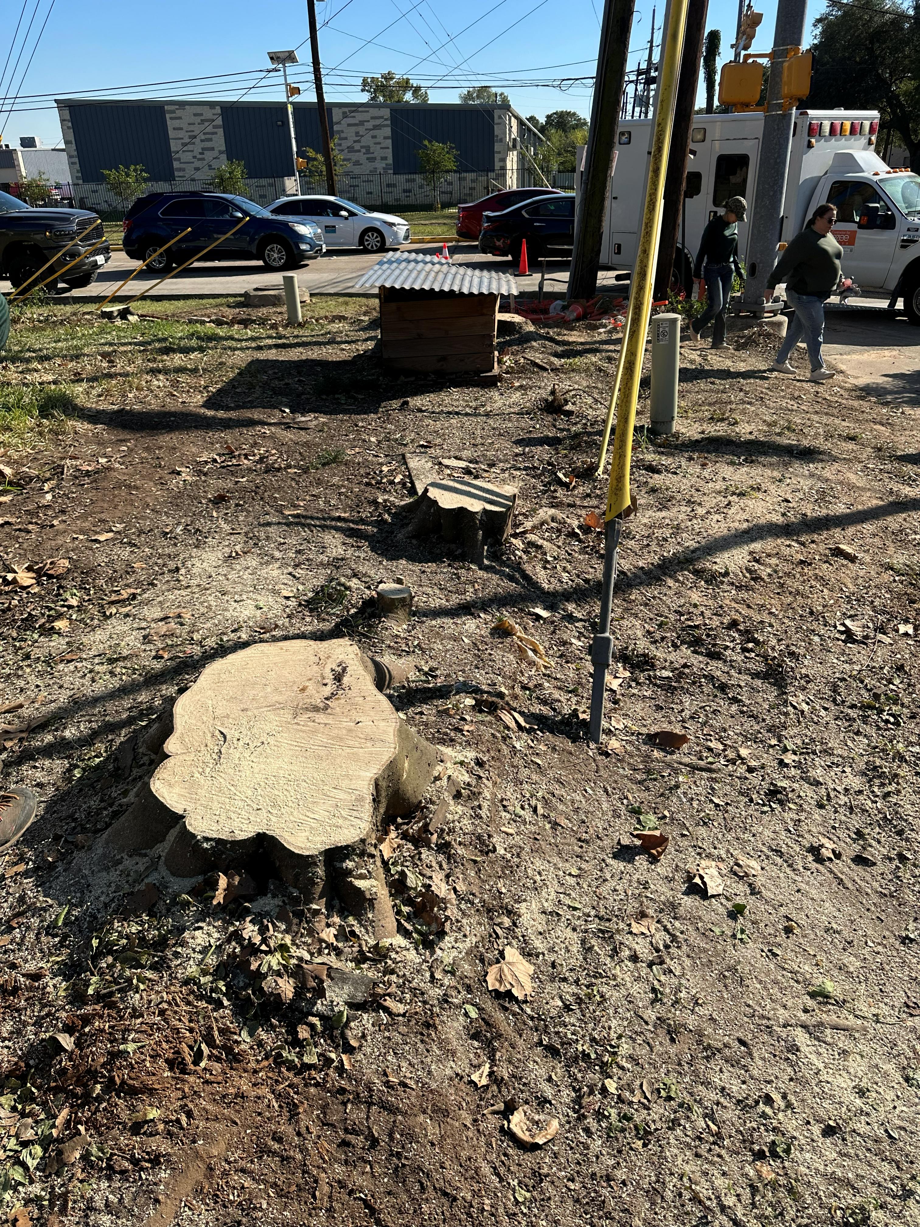HOA Stump Grinding