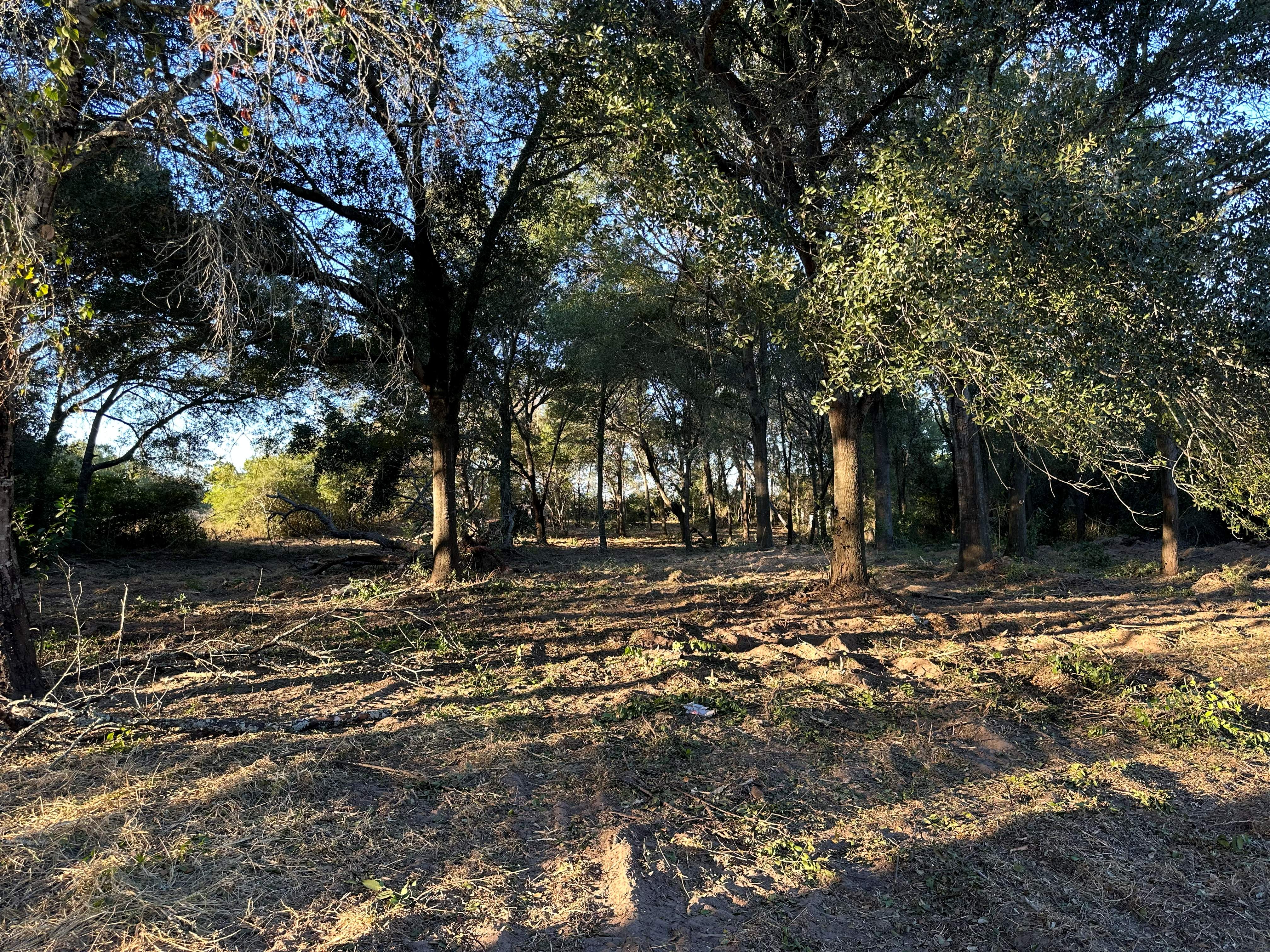 1-Acre Lot Clearing photo 8