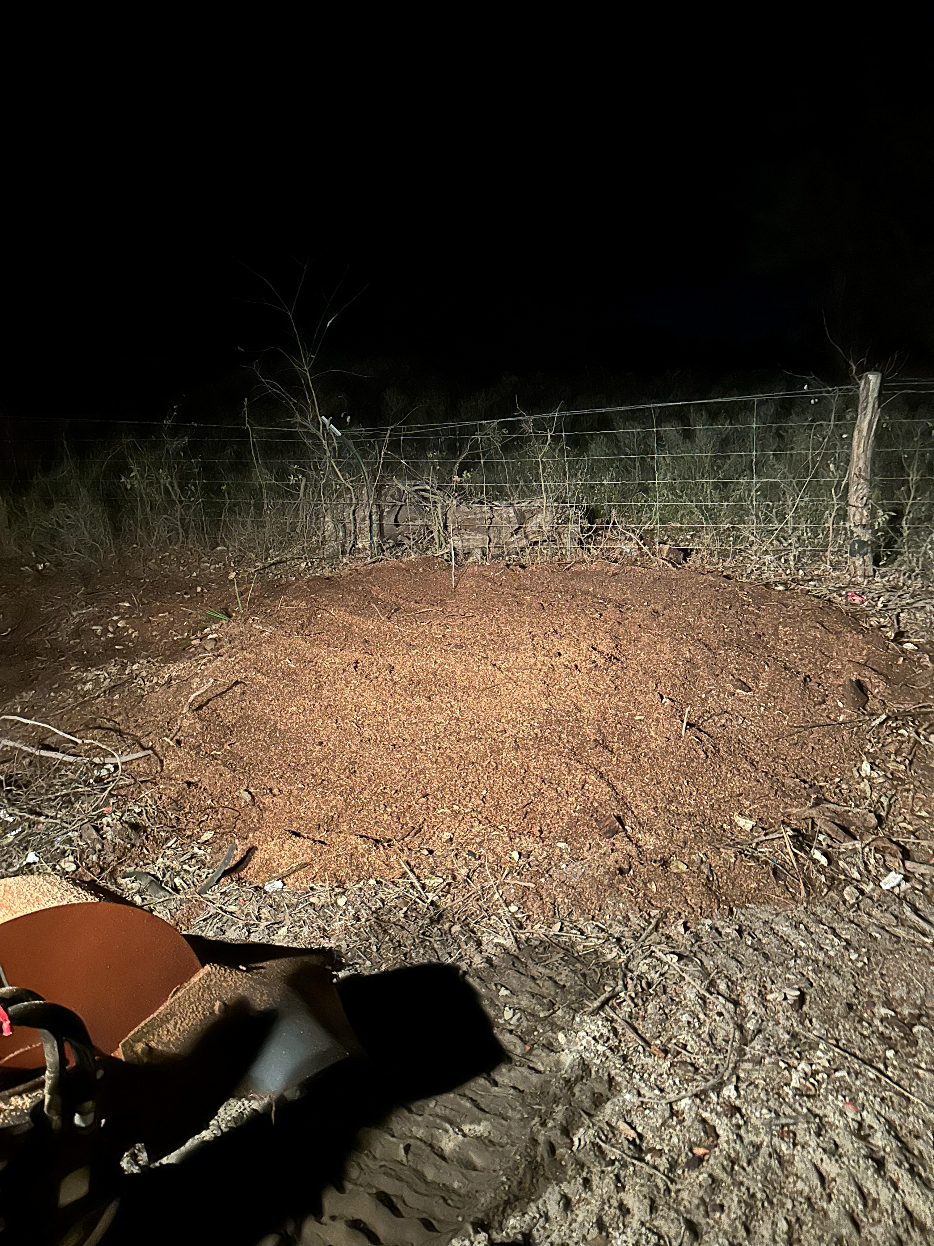 Quikrete Plant Stump Grinding photo 4