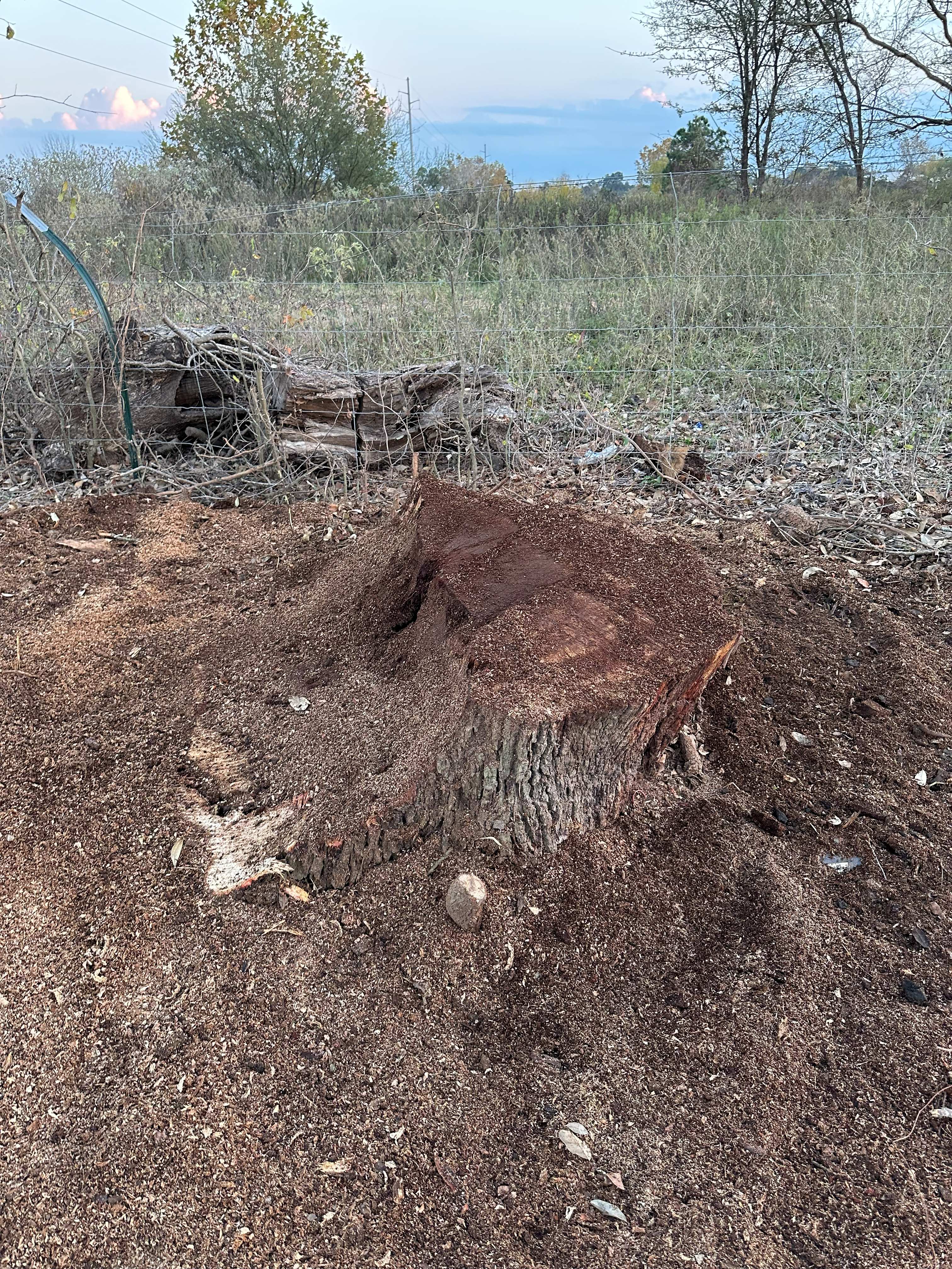 Quikrete Plant Stump Grinding photo 3