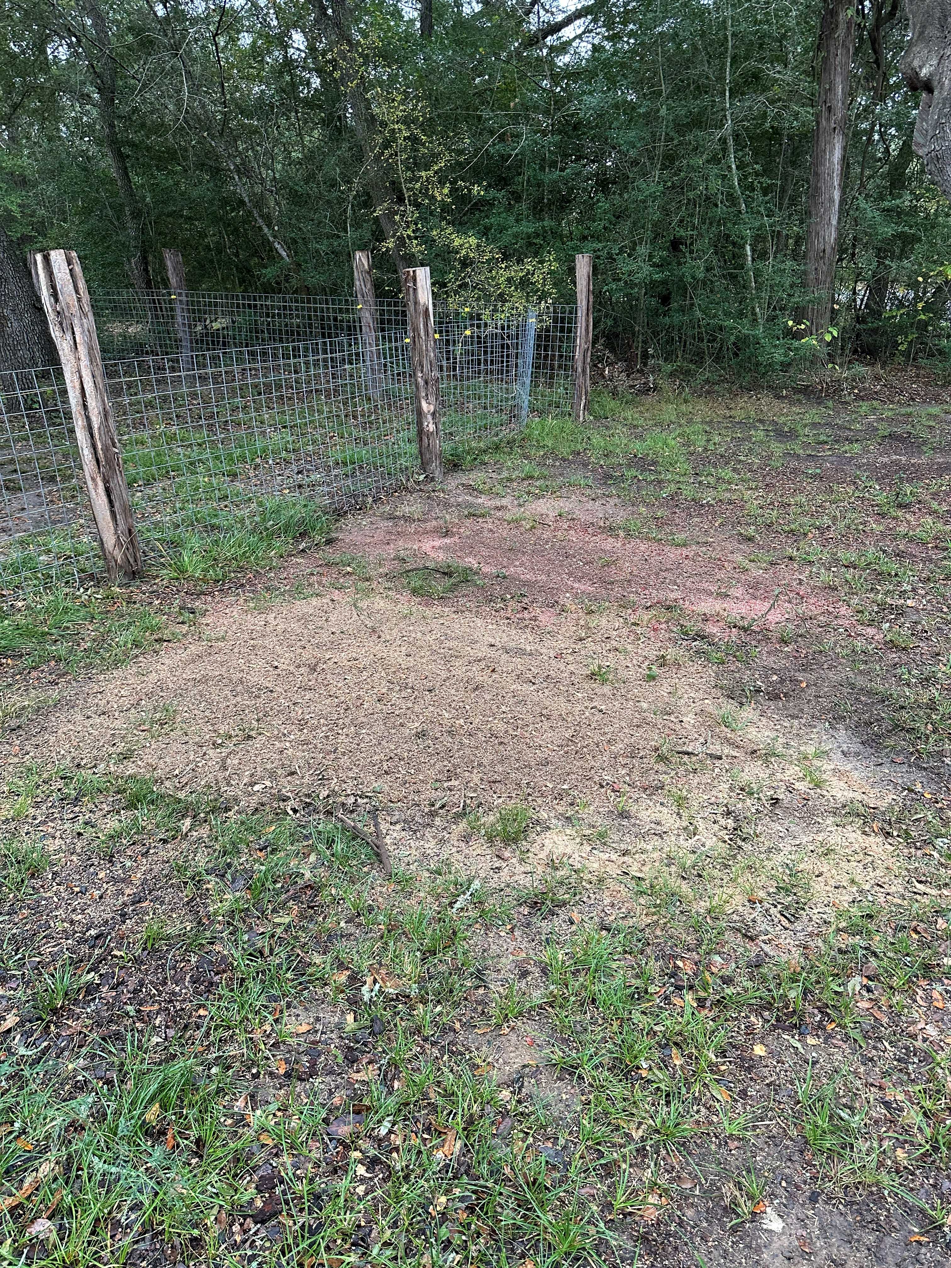 Stump Grinding photo 7