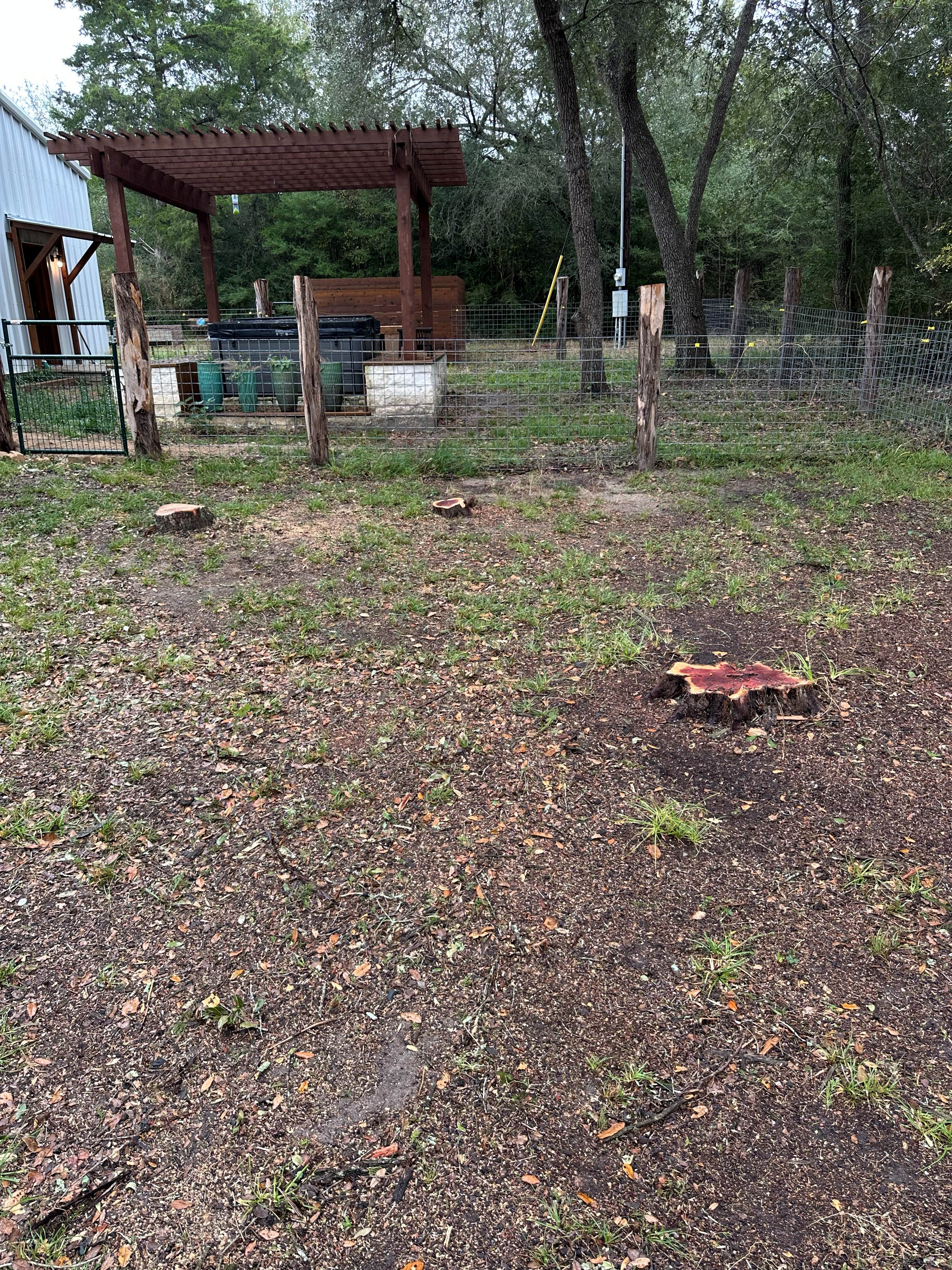 Stump Grinding photo 2