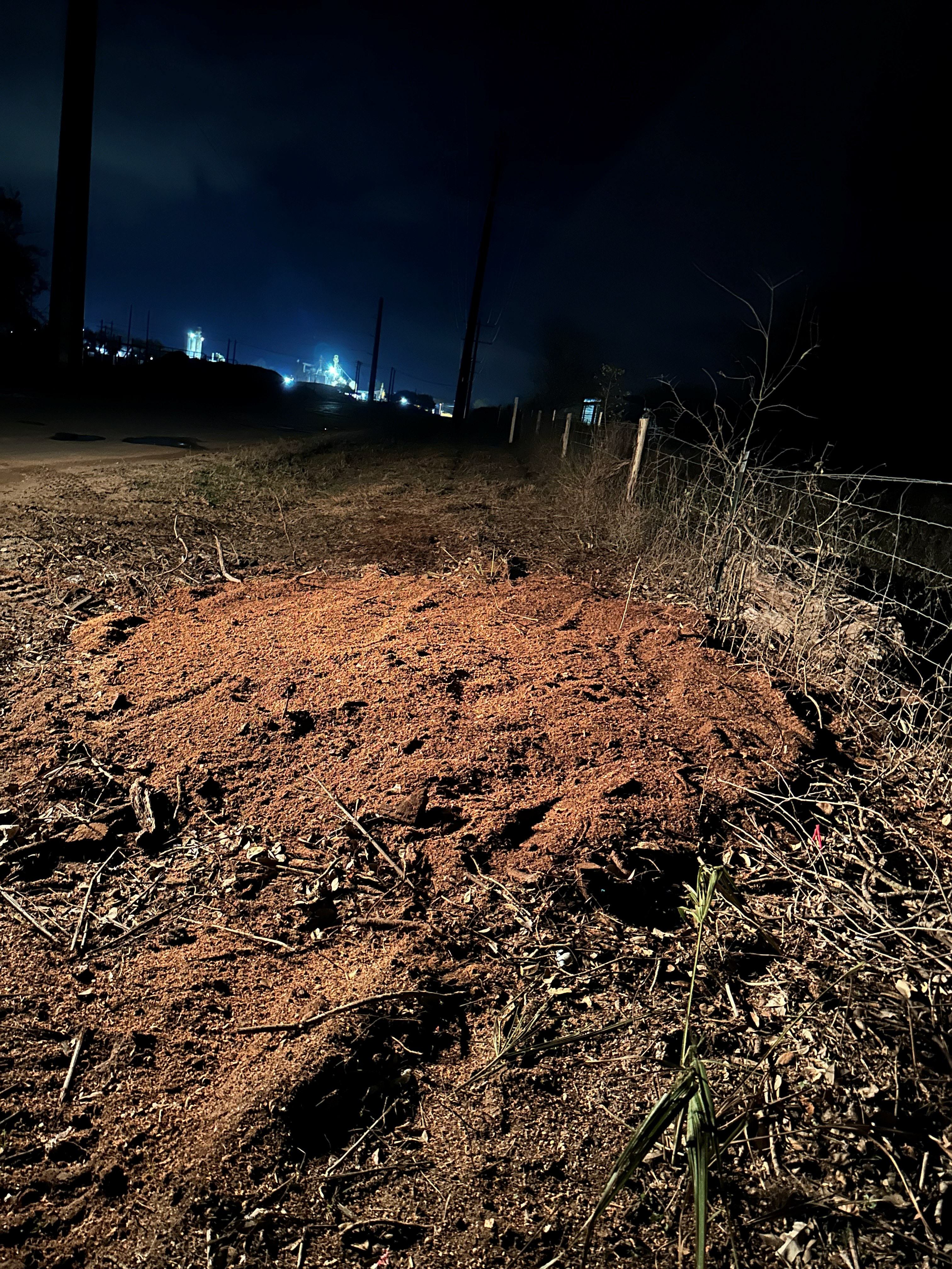 Quikrete Plant Stump Grinding photo 5