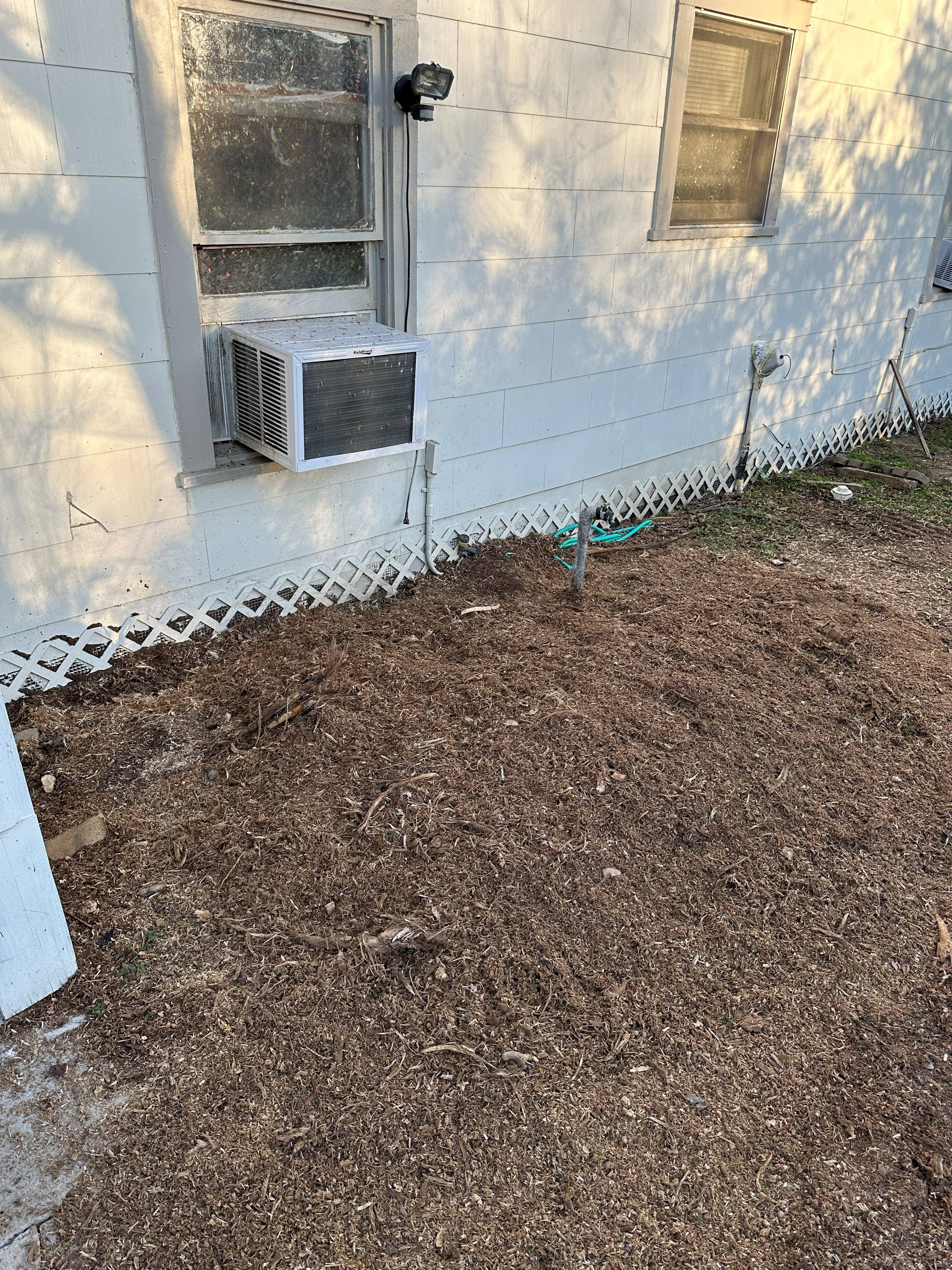 Stump Grinding photo 7