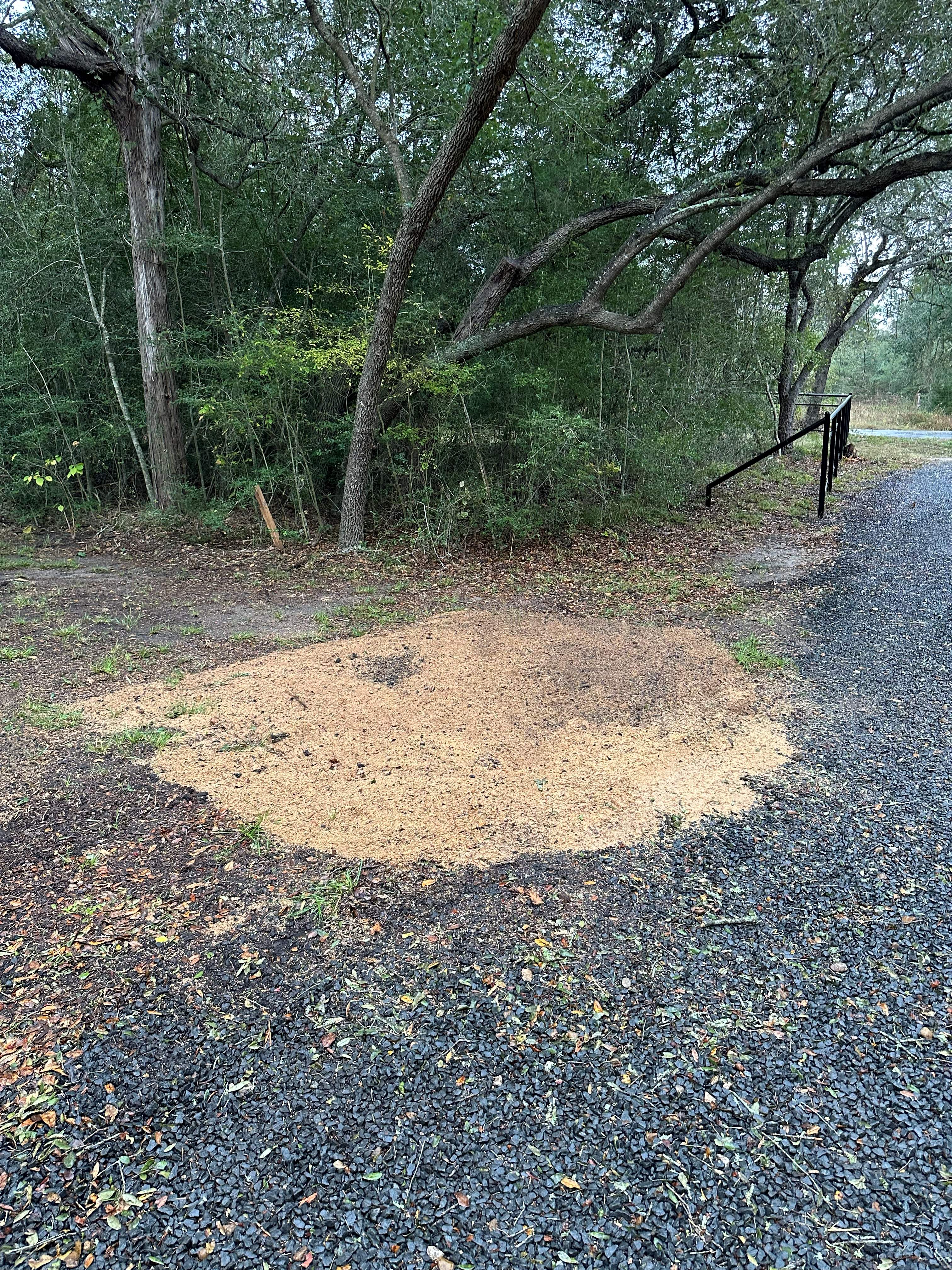 Stump Grinding photo 4