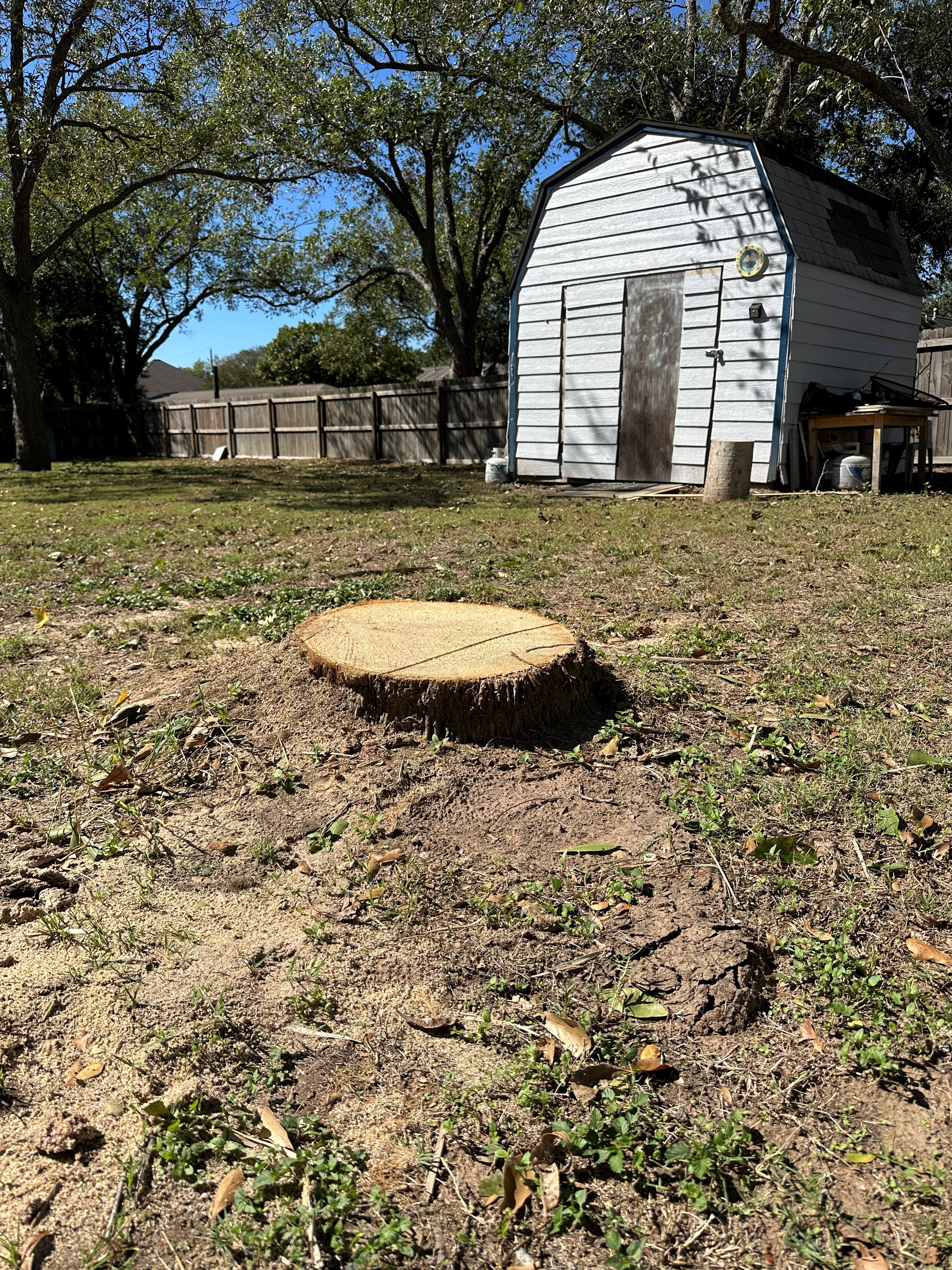 Stump Grinding