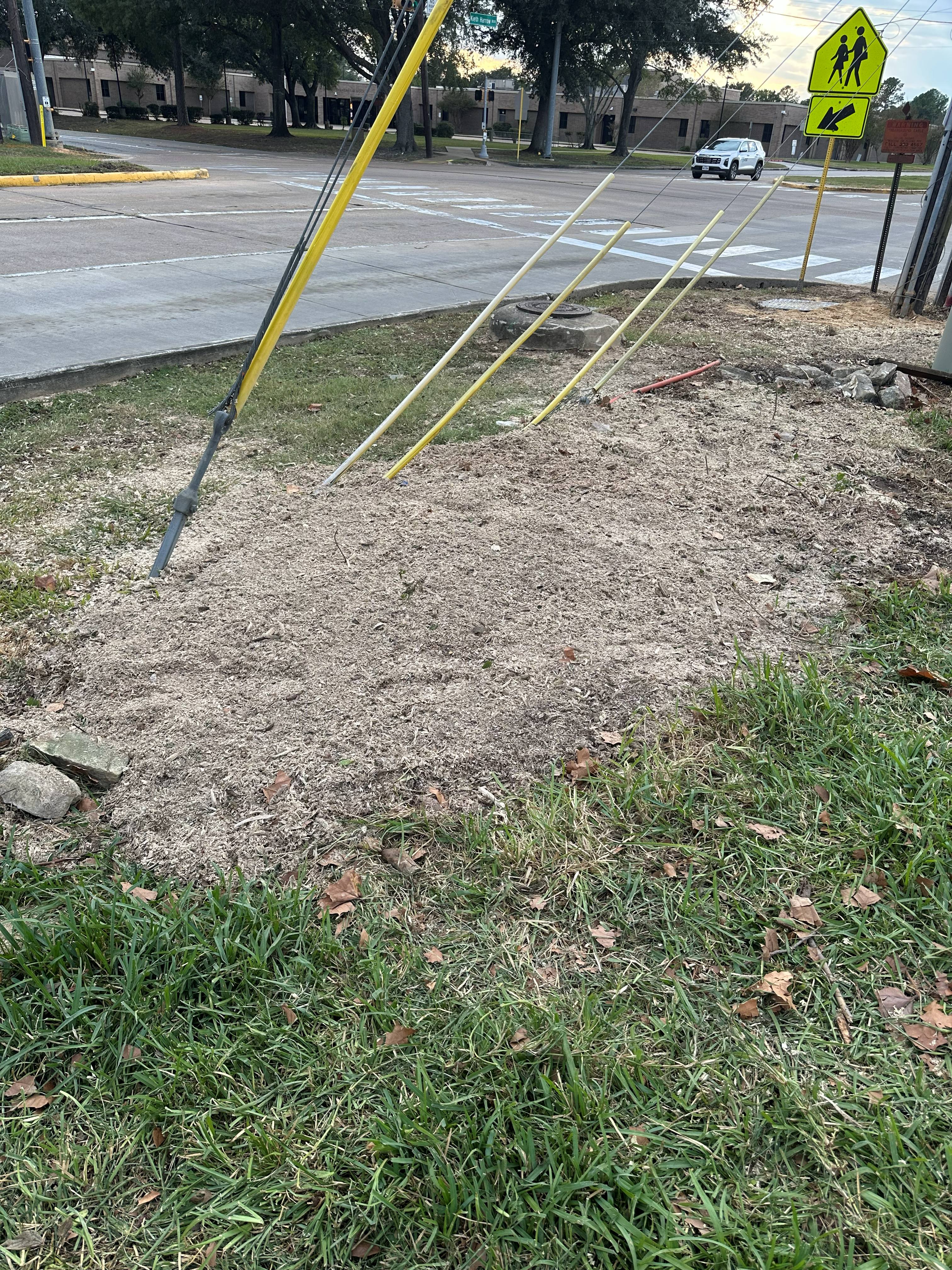 HOA Stump Grinding photo 3