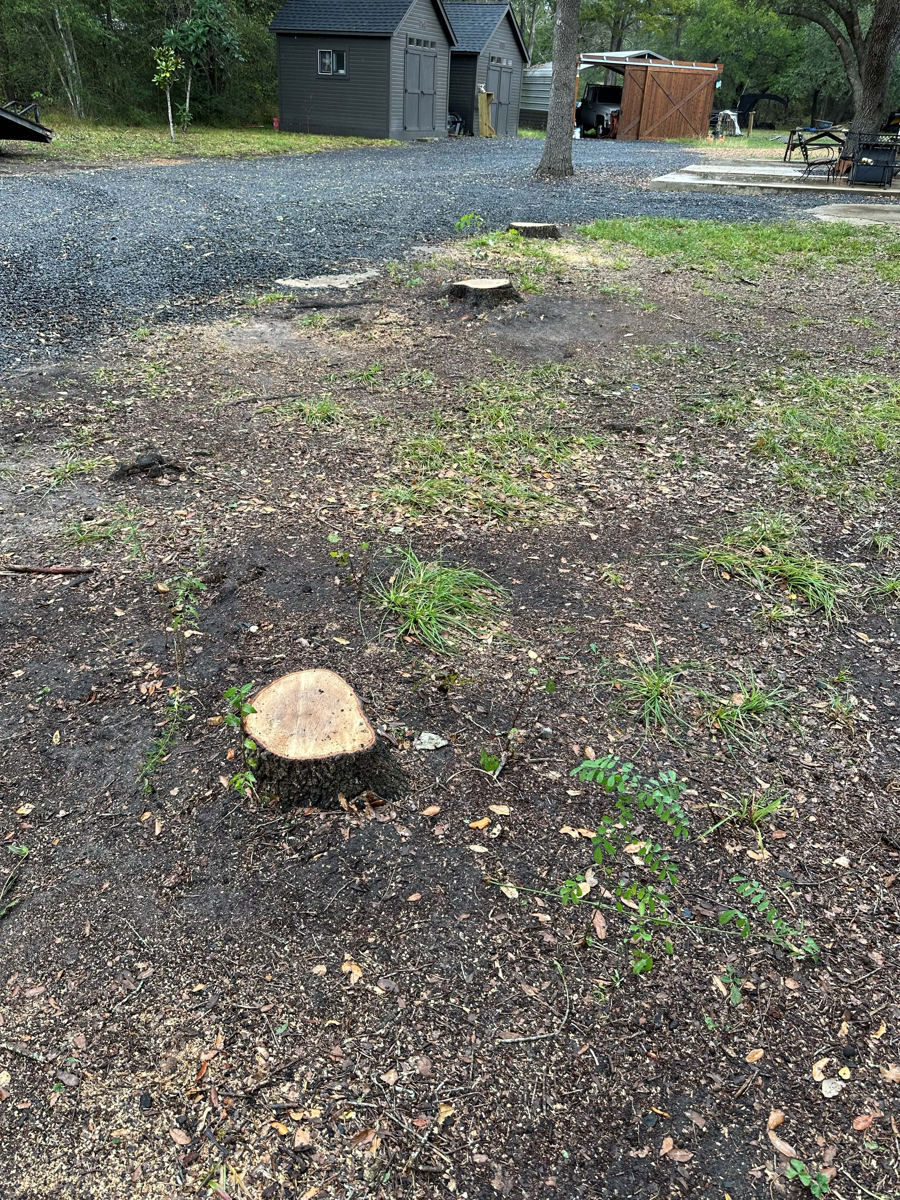 Stump Grinding