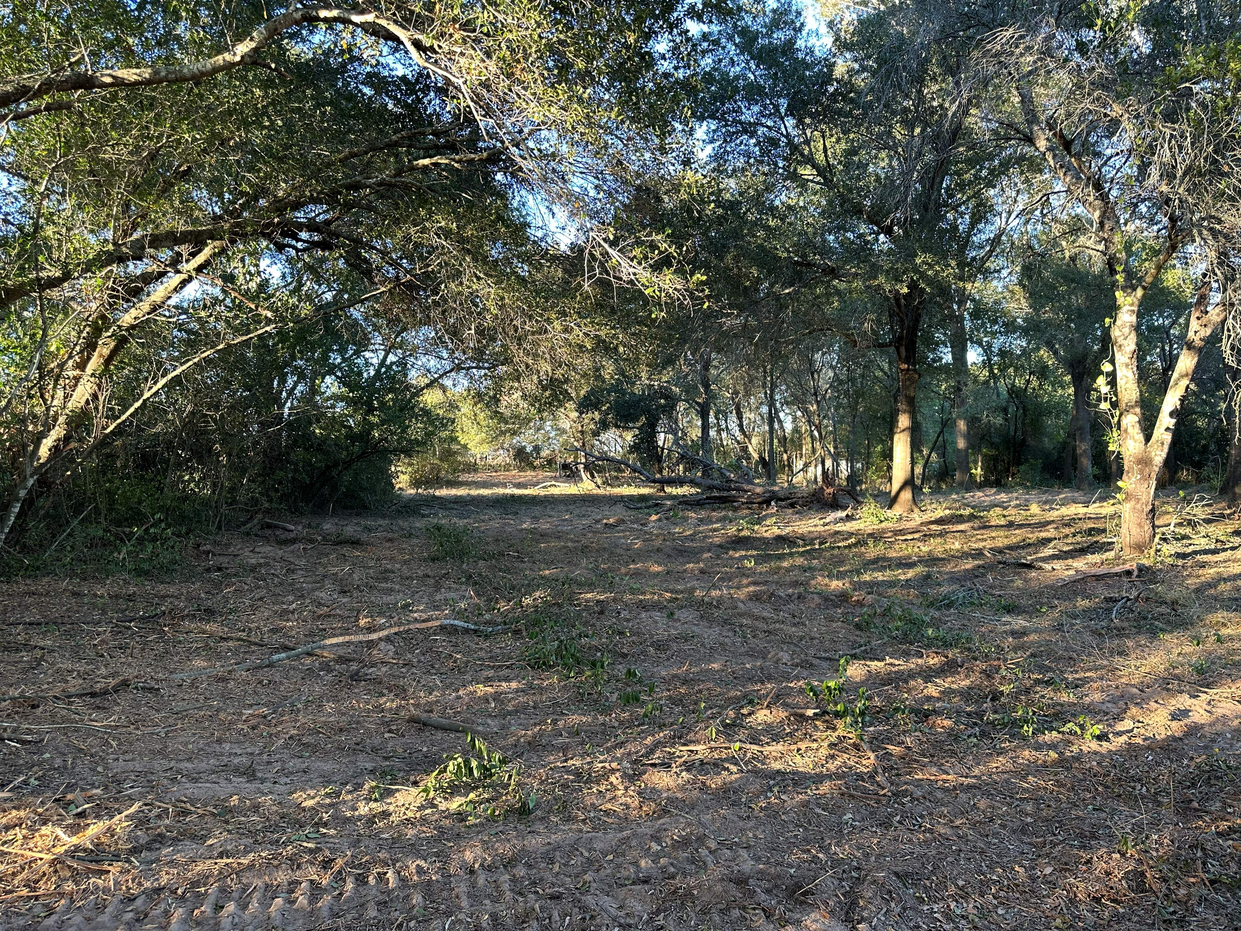 1-Acre Lot Clearing photo 7