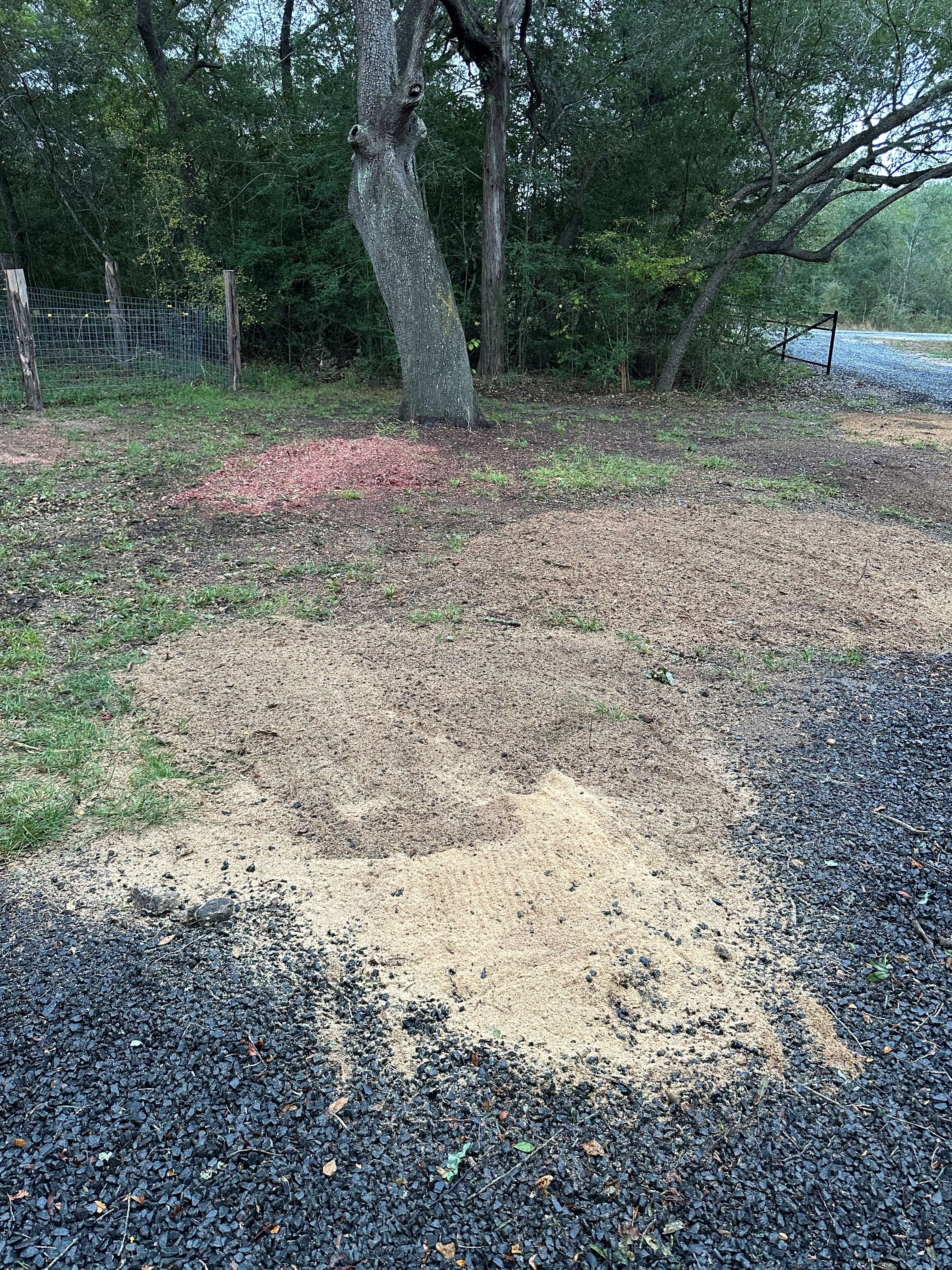 Stump Grinding photo 6