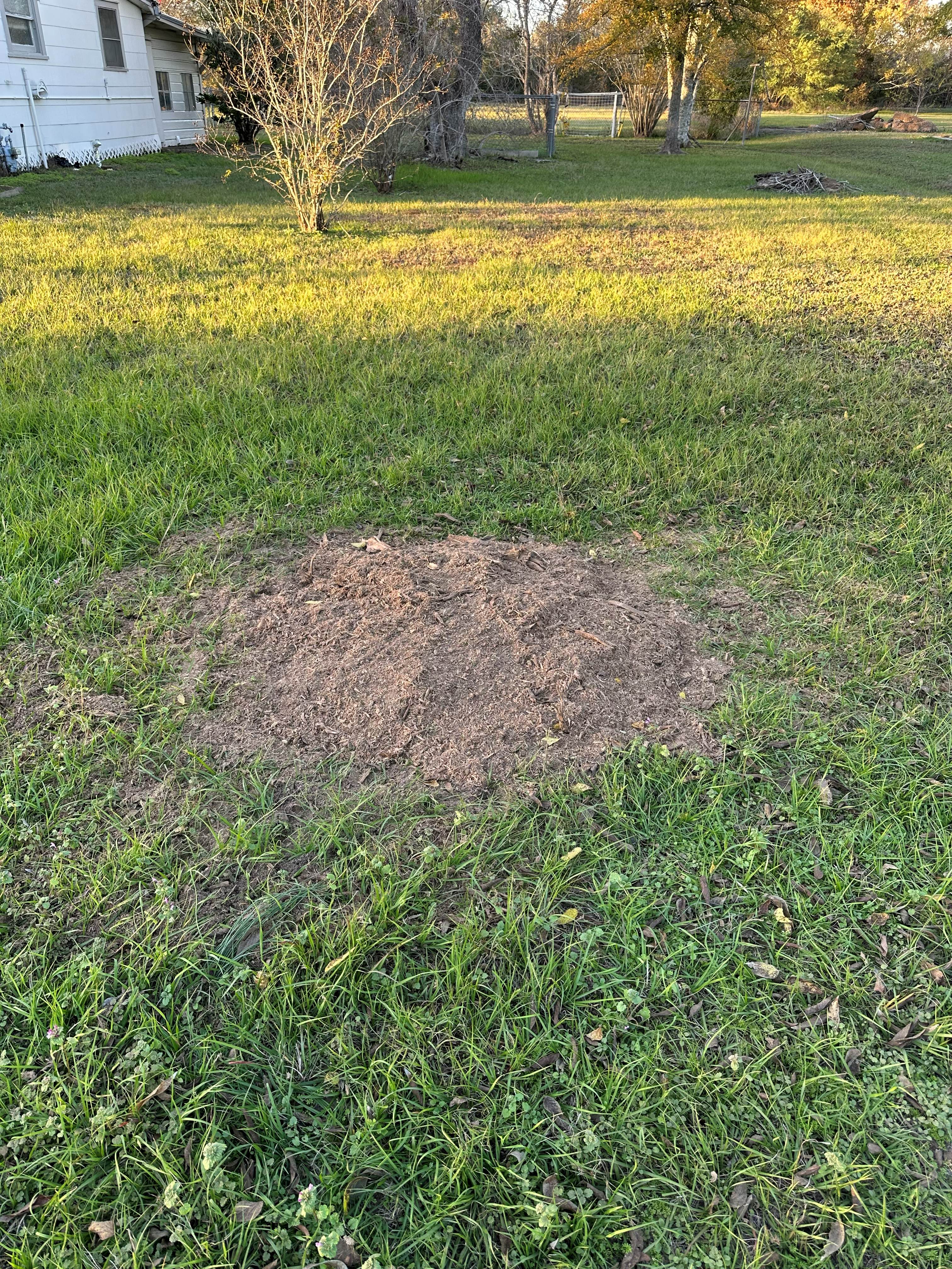 Stump Grinding photo 8