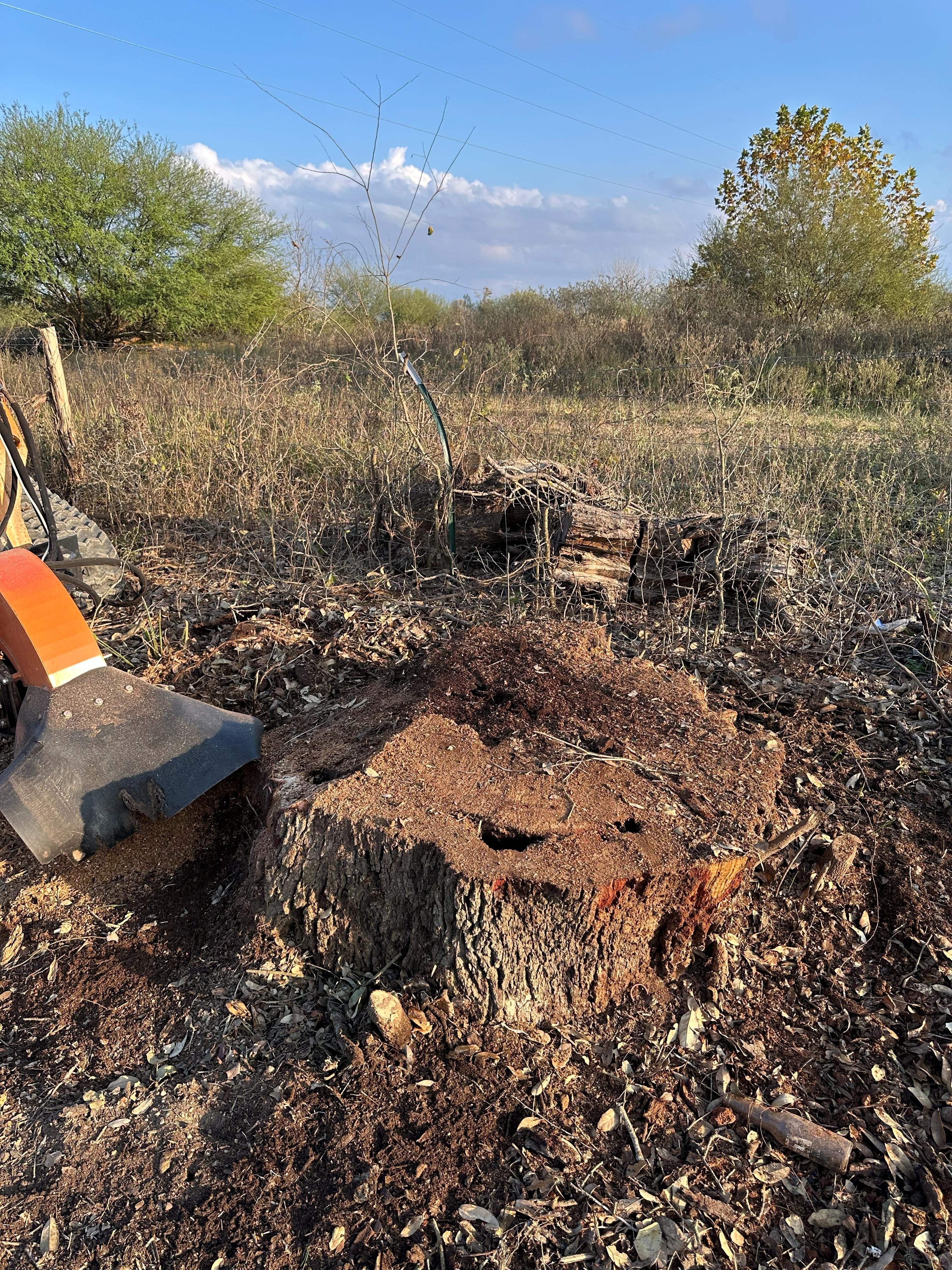 Quikrete Plant Stump Grinding