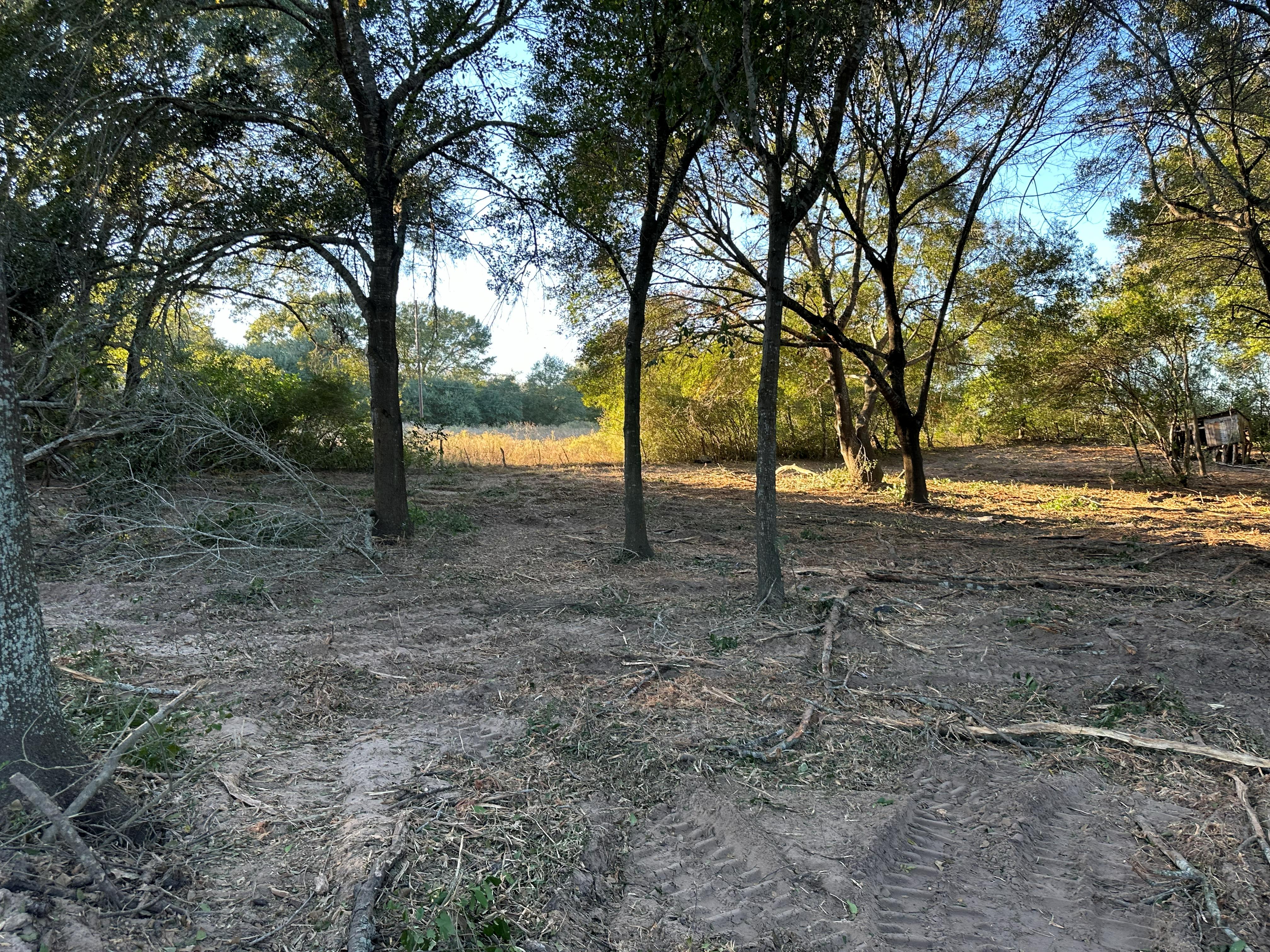 1-Acre Lot Clearing photo 11