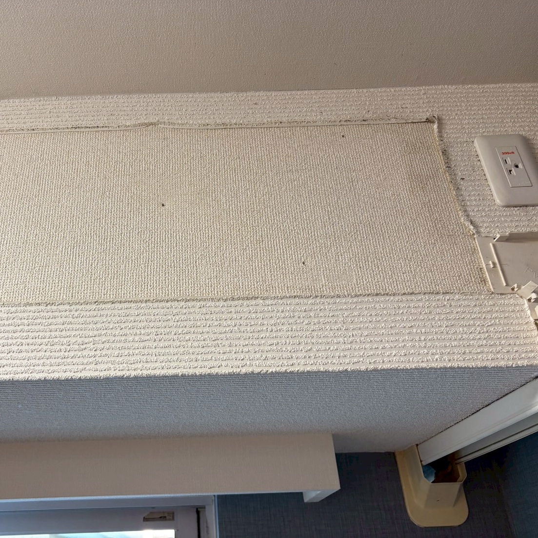 天井埋め込み型クリーニング