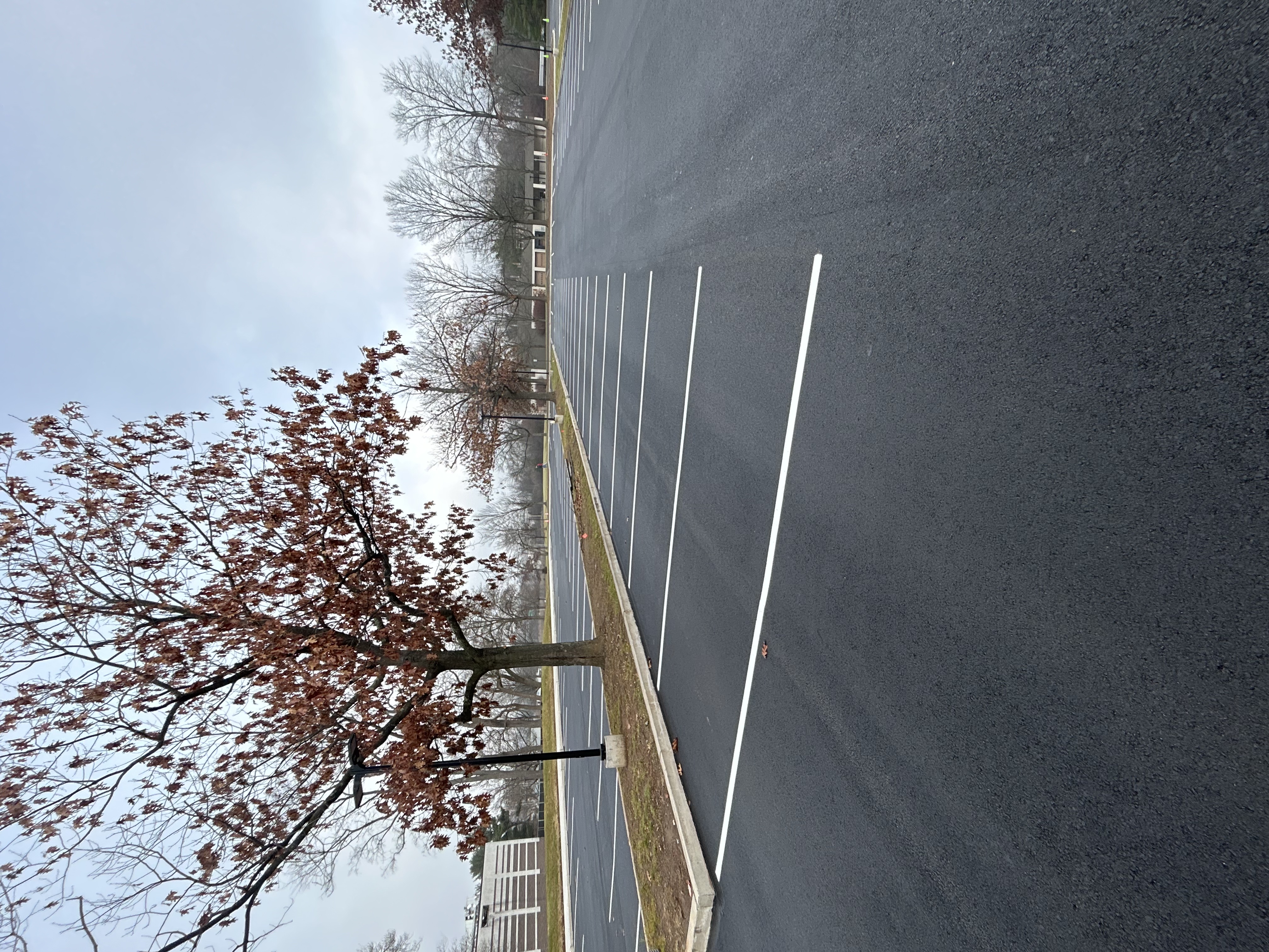 Directional arrows and fire lane markings painted on commercial parking lot asphalt