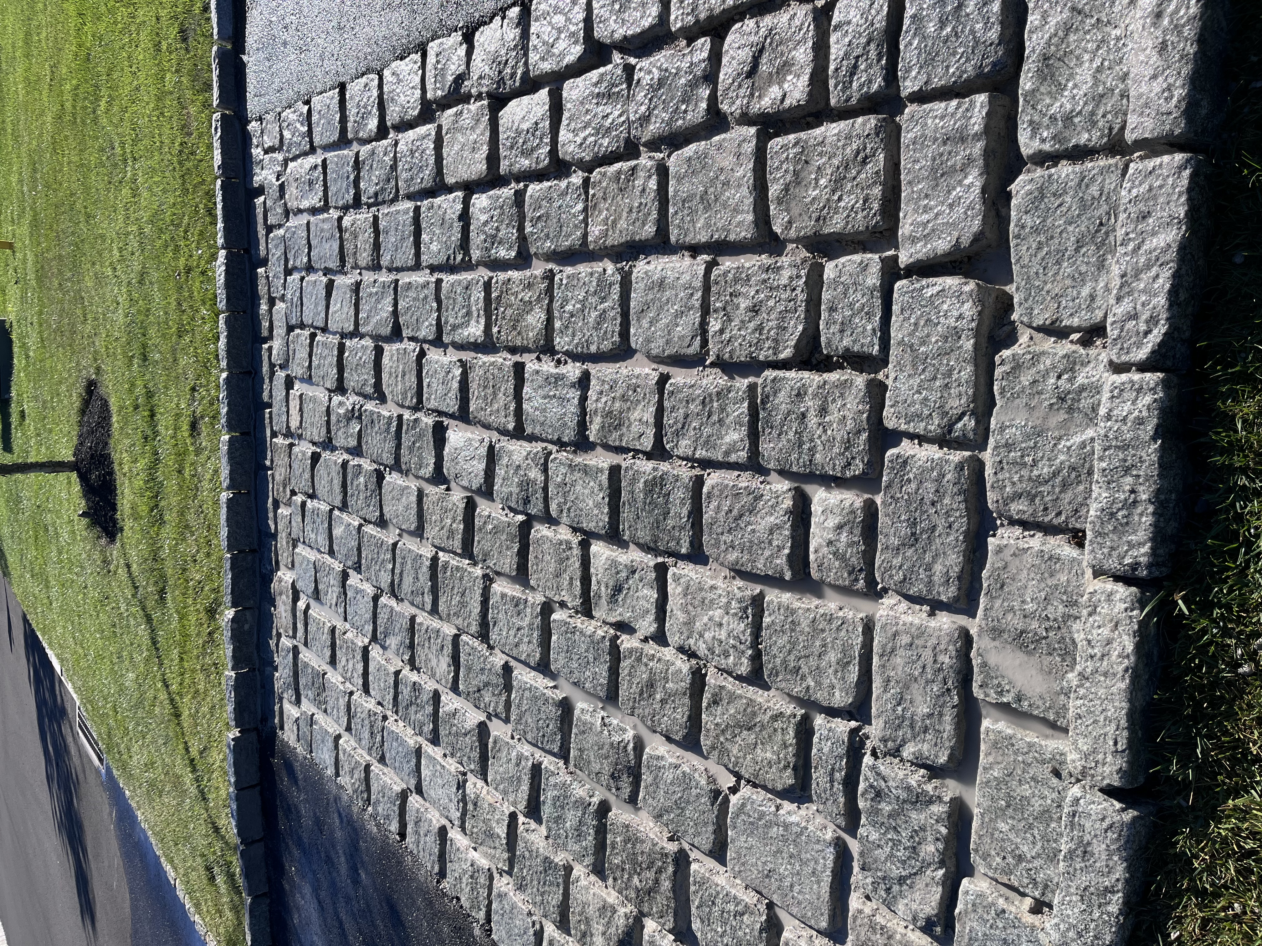 Hardscape walkway with textured concrete surface