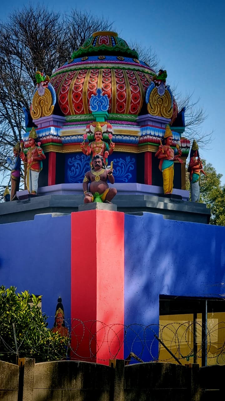 Festival Celebrations