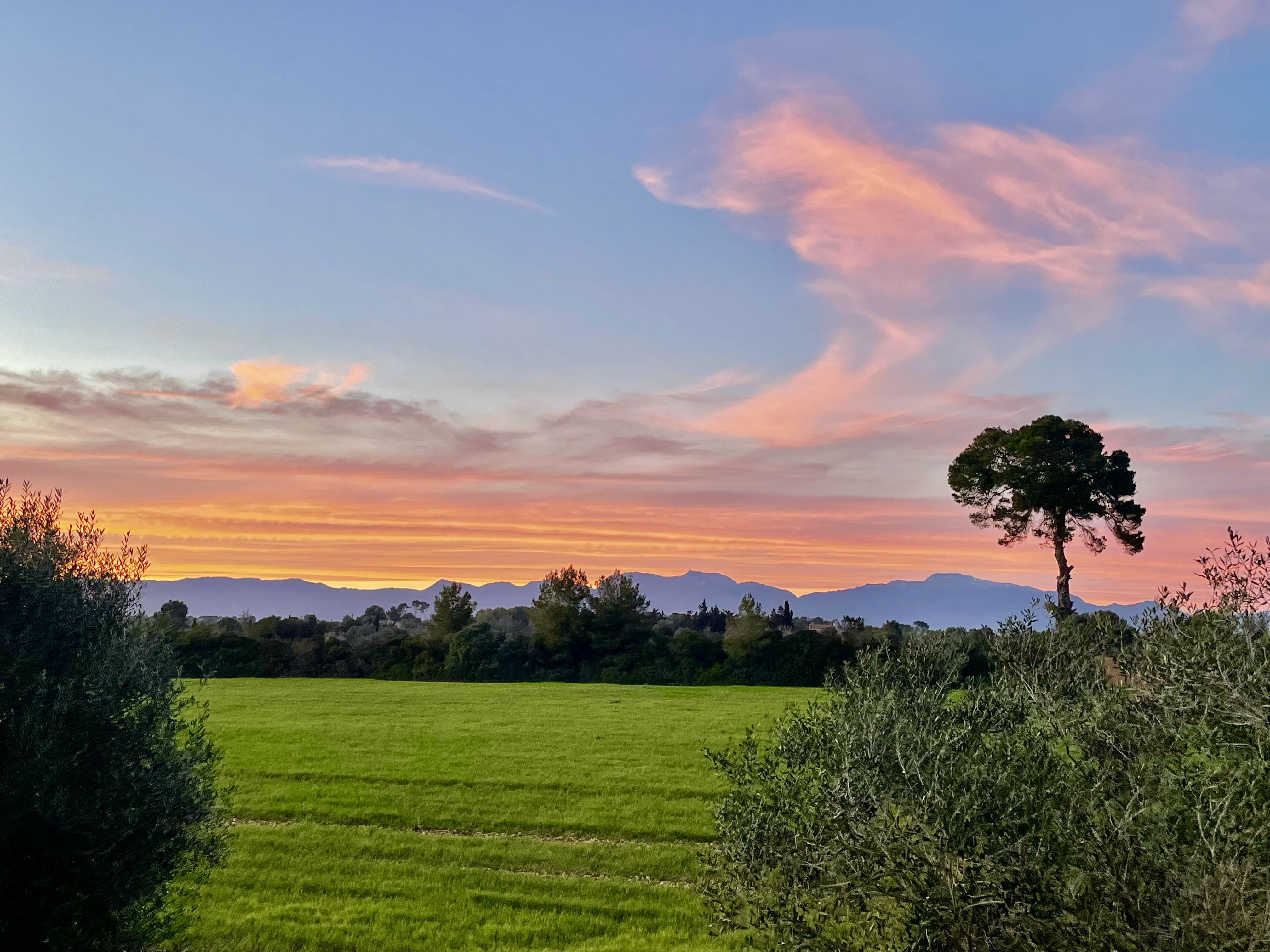 Casa Limbella exceptional experience