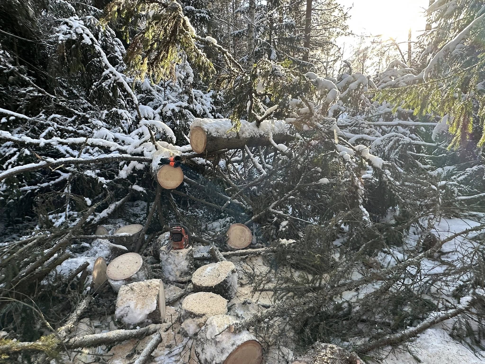 Myrskytuhojen raivaus käynnissä