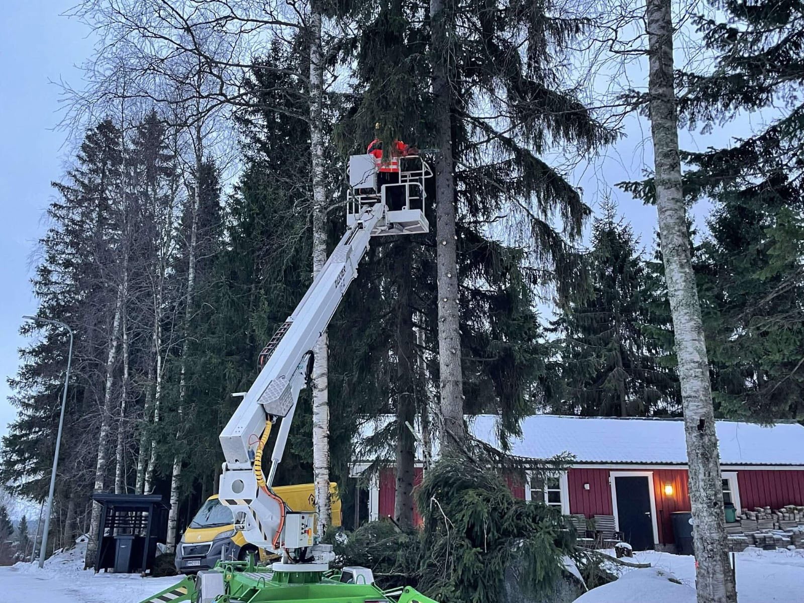 Ongelmapuiden poisto nostokorilla kuva 1